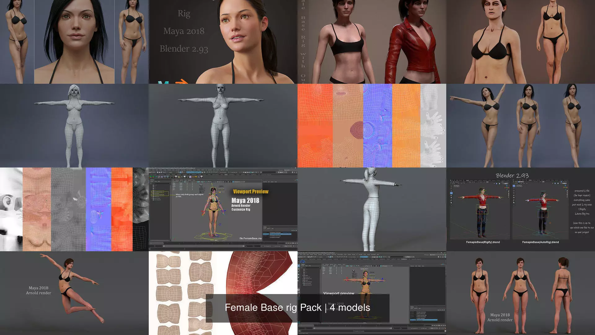 Female Base rig Pack 3D Model Collection_11