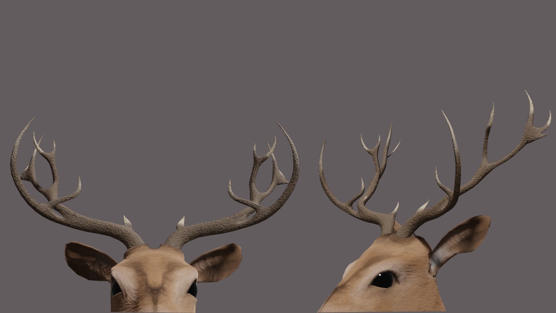 Deer 3D model with antlers Low-poly 3D model_1