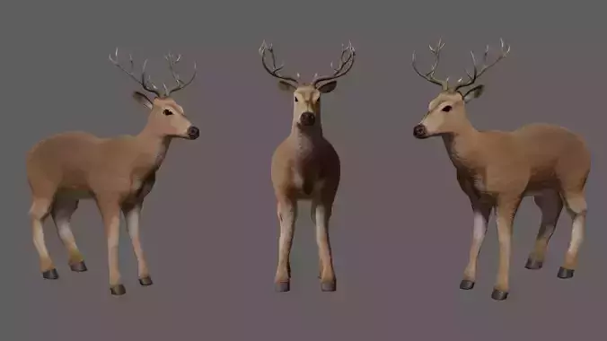 Deer 3D model with antlers