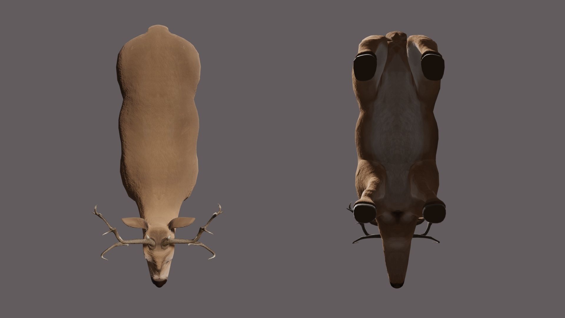 Deer 3D model with antlers Low-poly 3D model_5