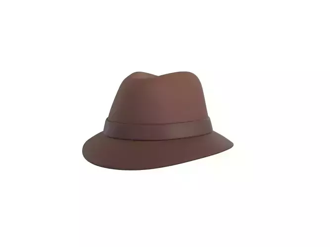Cartoon Fedora Hat