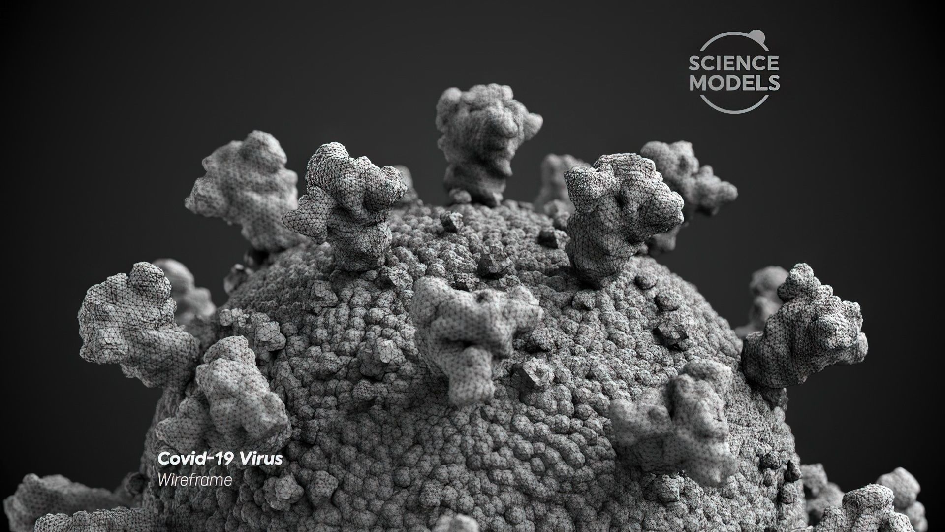 Covid-19 Virus SARS CoV-2  3D model_6
