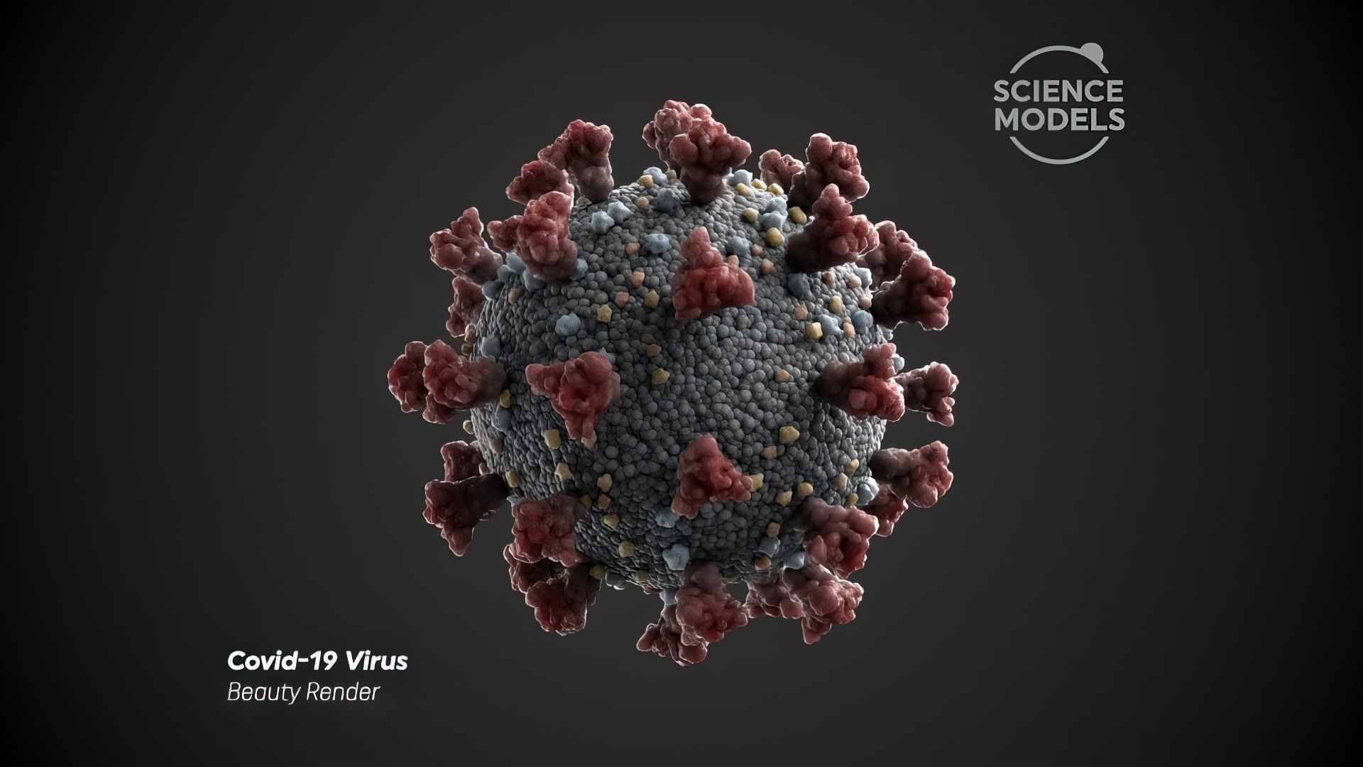 Covid-19 Virus SARS CoV-2  3D model_3