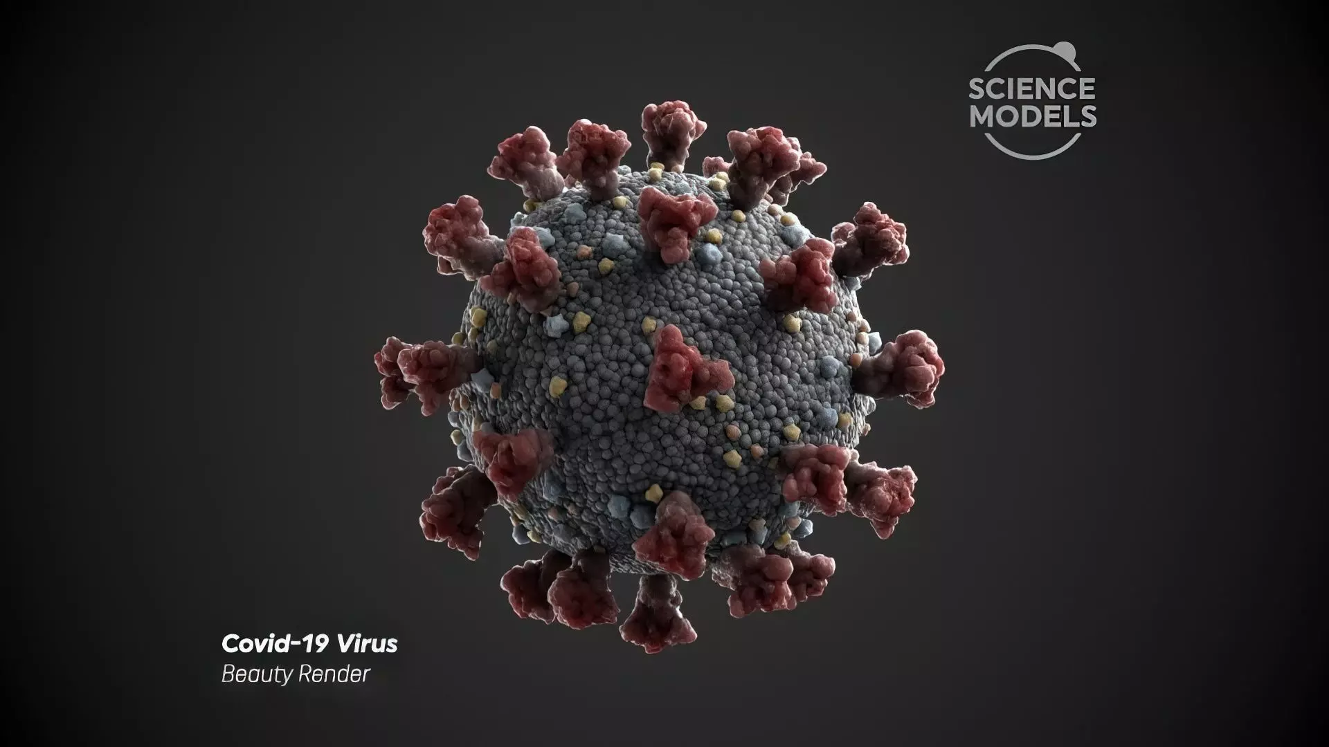 Covid-19 Virus SARS CoV-2  3D model_0