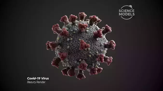 Covid-19 Virus SARS CoV-2  3D model