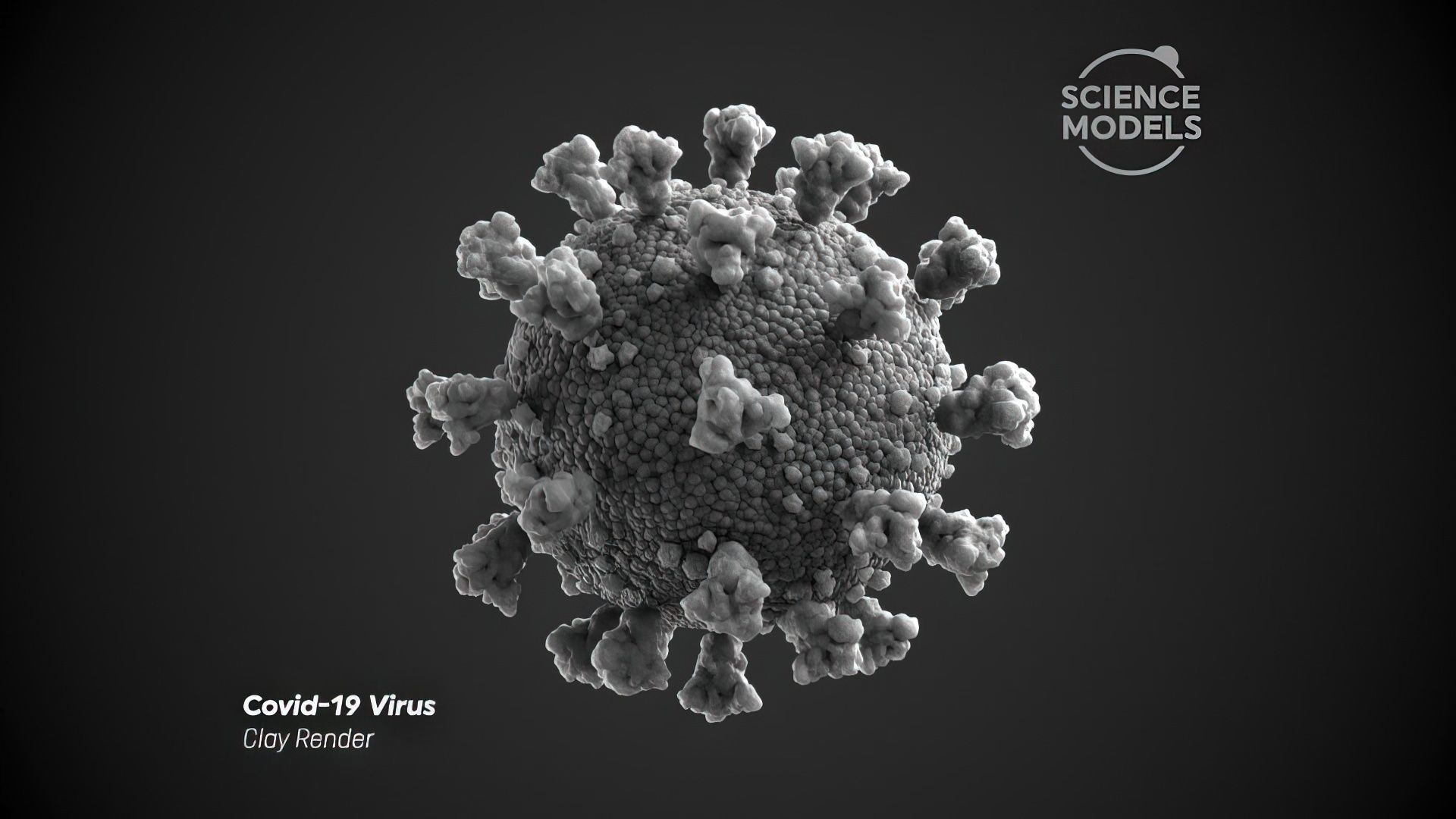 Covid-19 Virus SARS CoV-2  3D model_4
