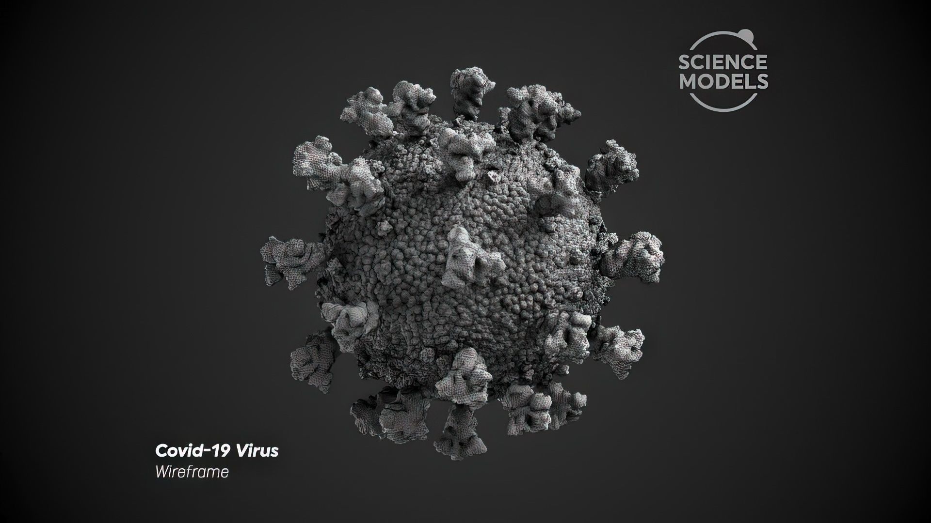 Covid-19 Virus SARS CoV-2  3D model_5