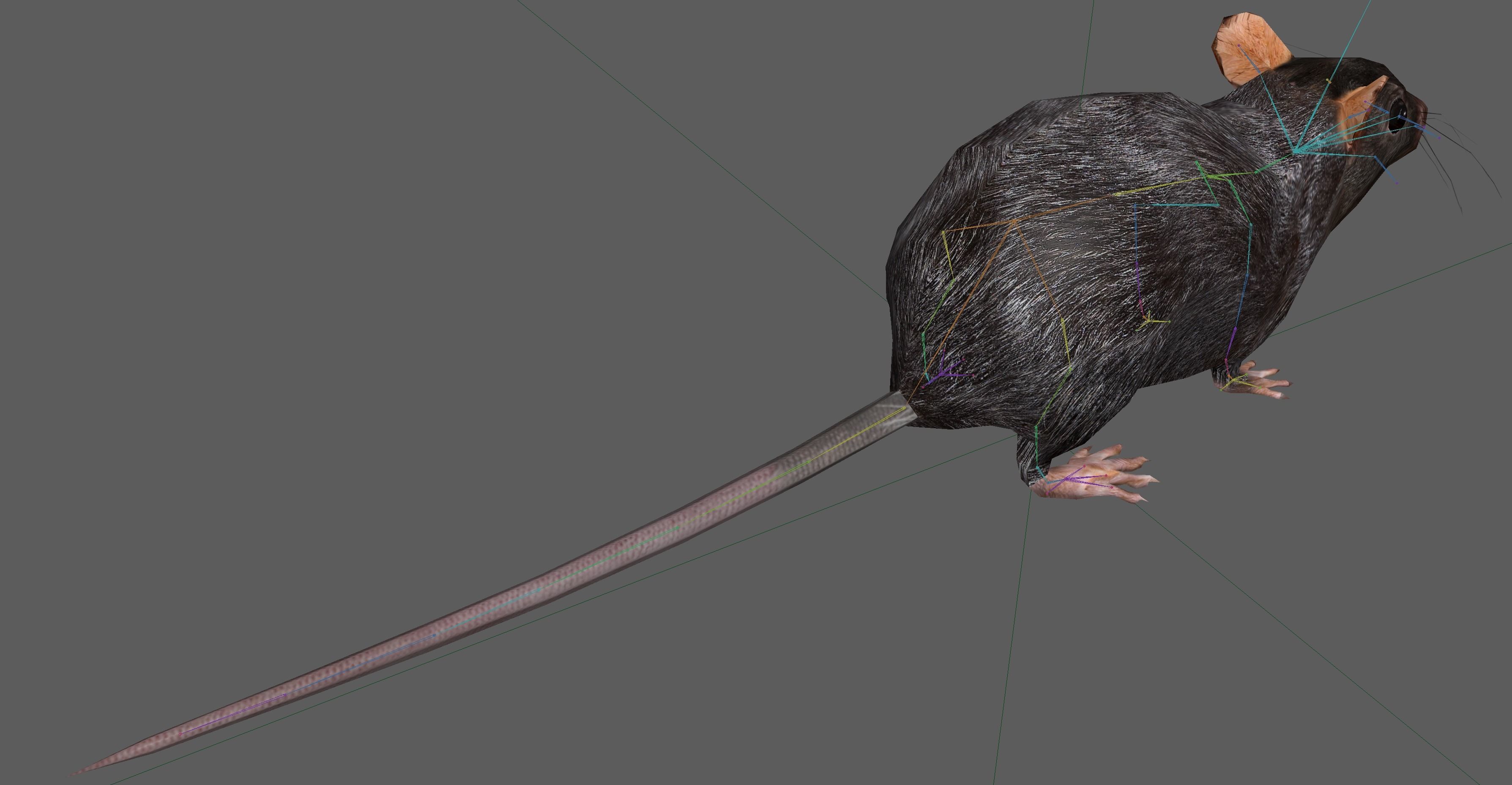 Rat Rig Low-poly 3D model_16