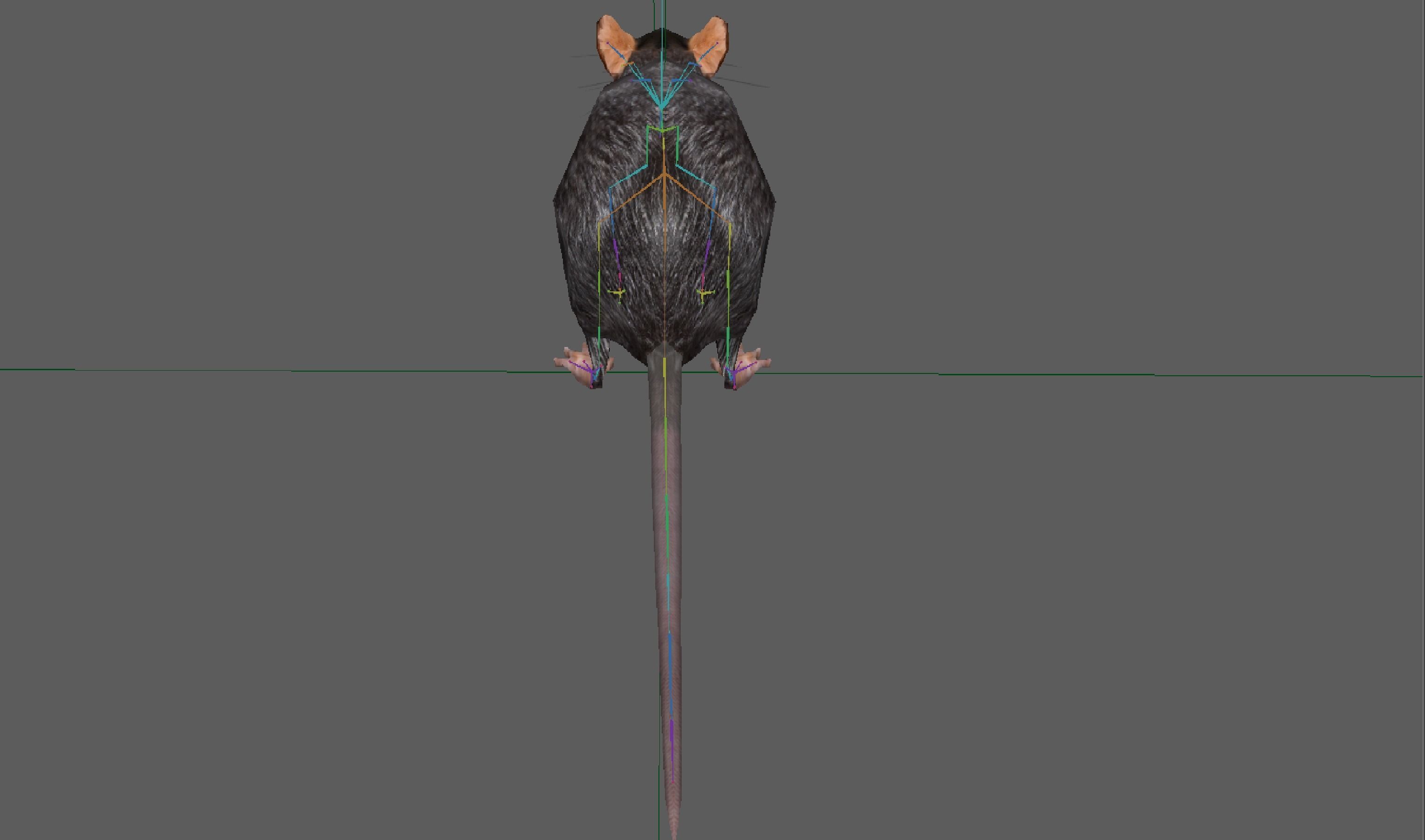 Rat Rig Low-poly 3D model_7