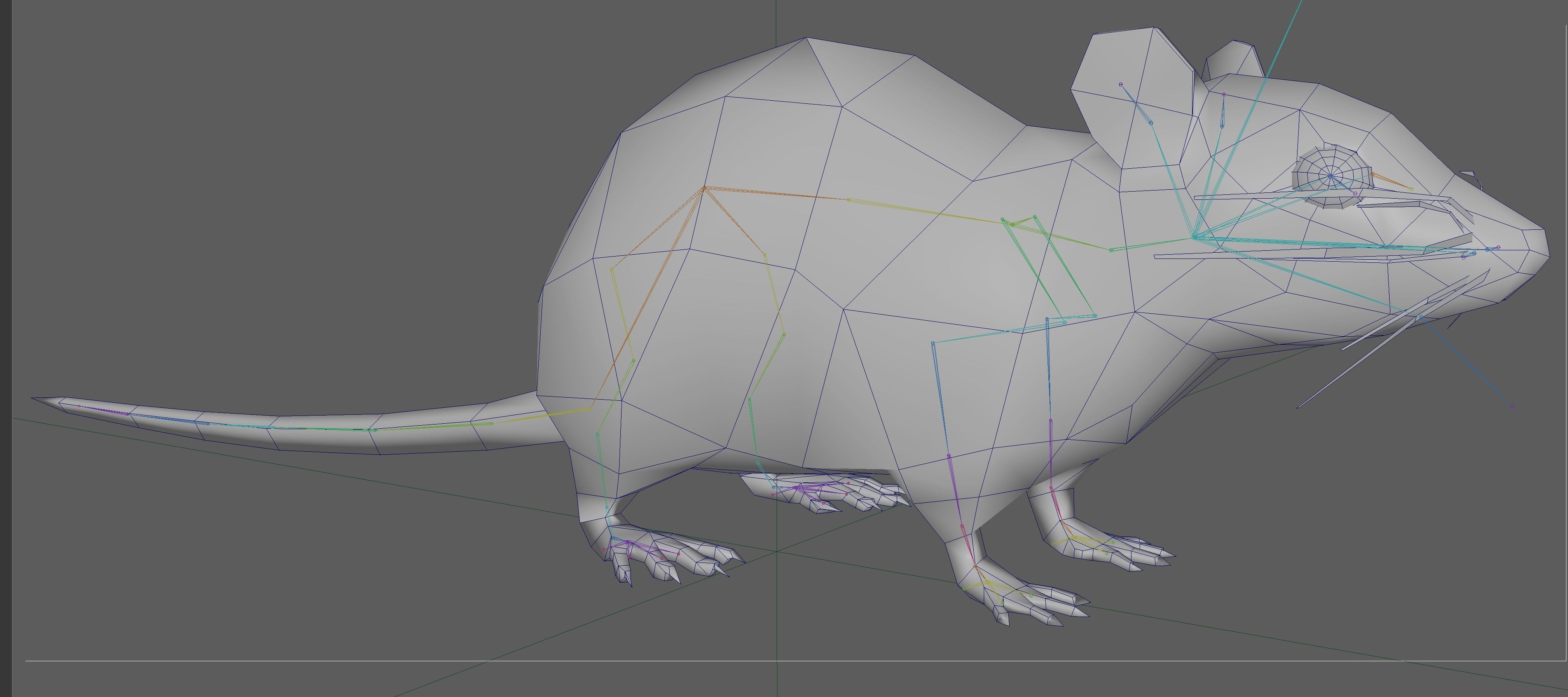 Rat Rig Low-poly 3D model_11