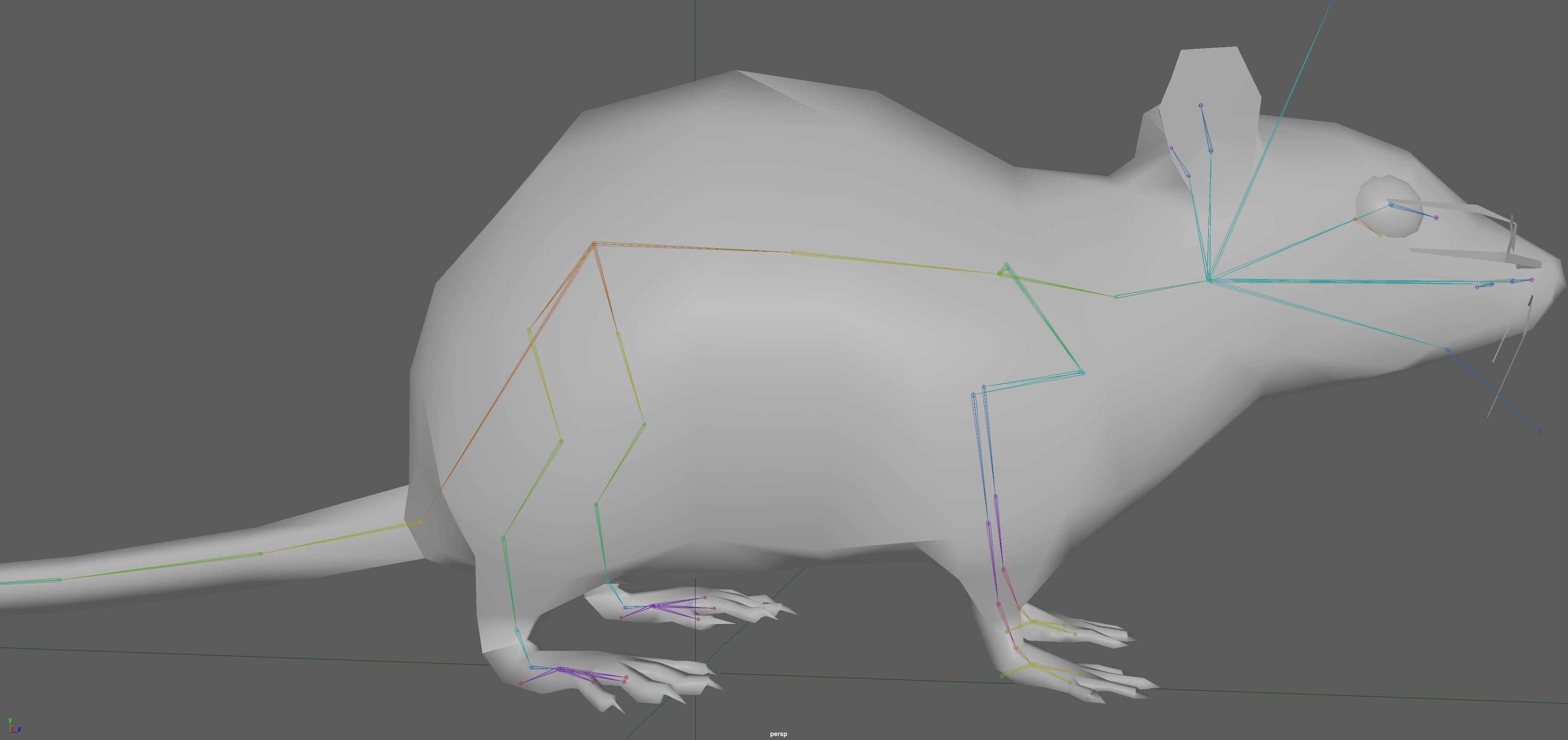 Rat Rig Low-poly 3D model_8