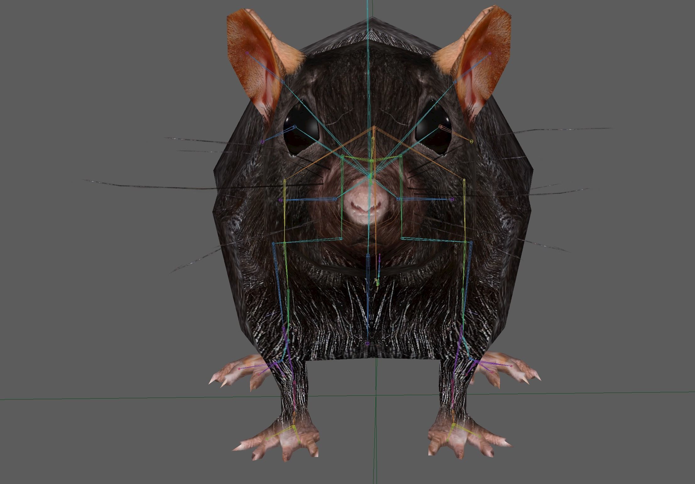Rat Rig Low-poly 3D model_15