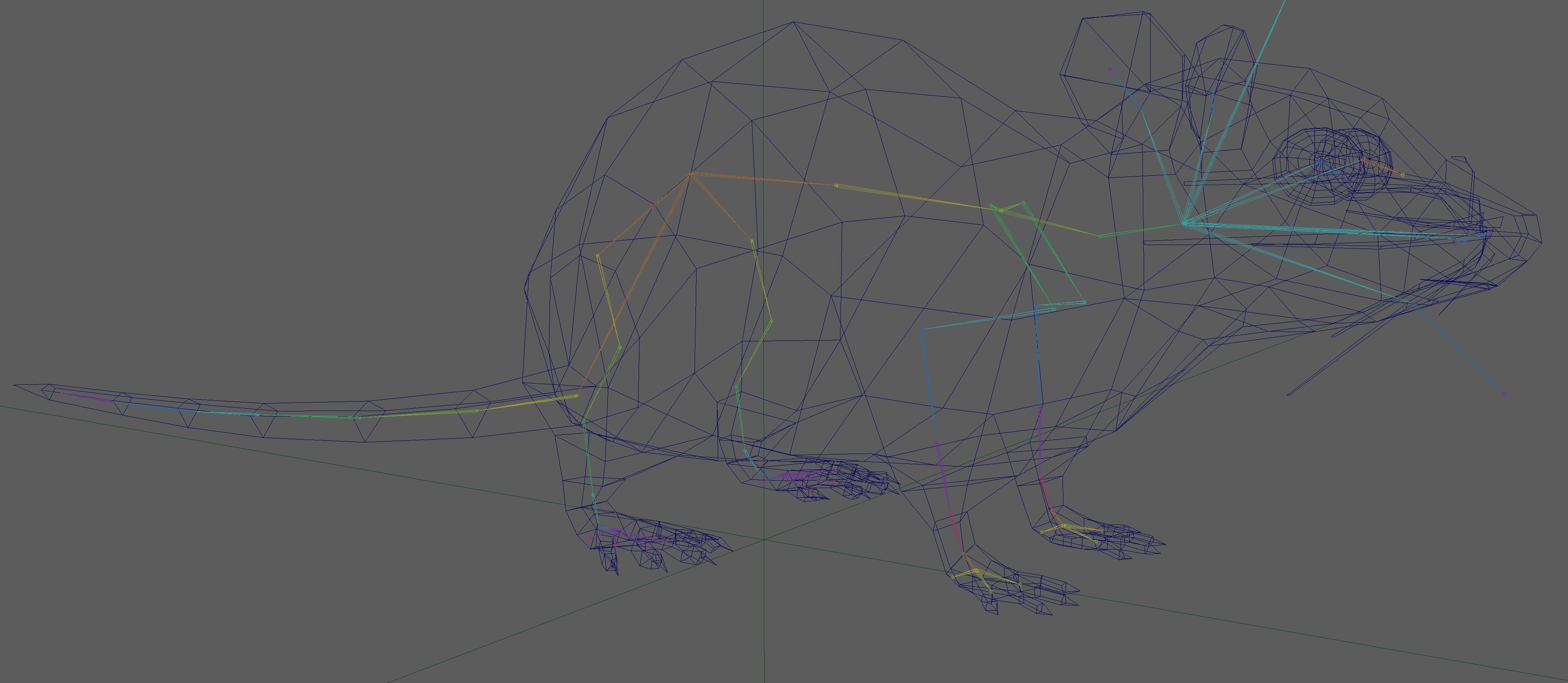 Rat Rig Low-poly 3D model_13