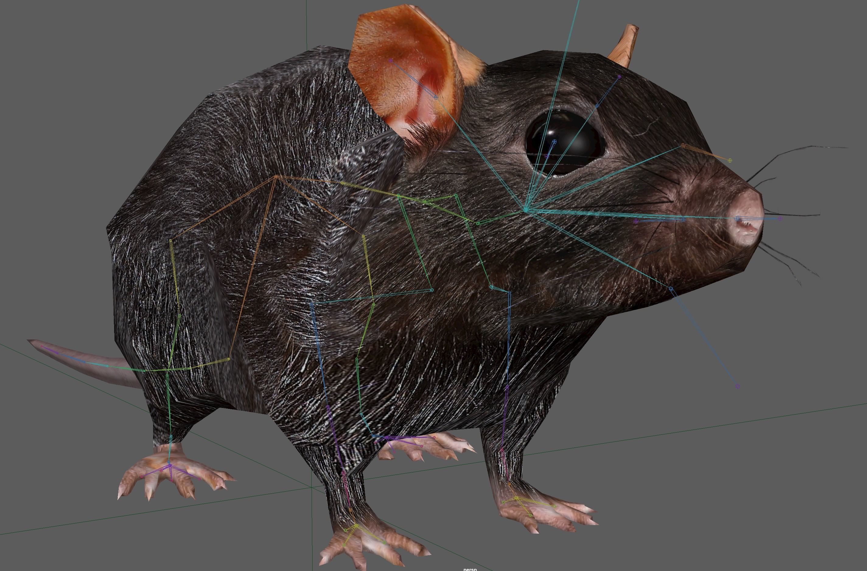 Rat Rig Low-poly 3D model_20