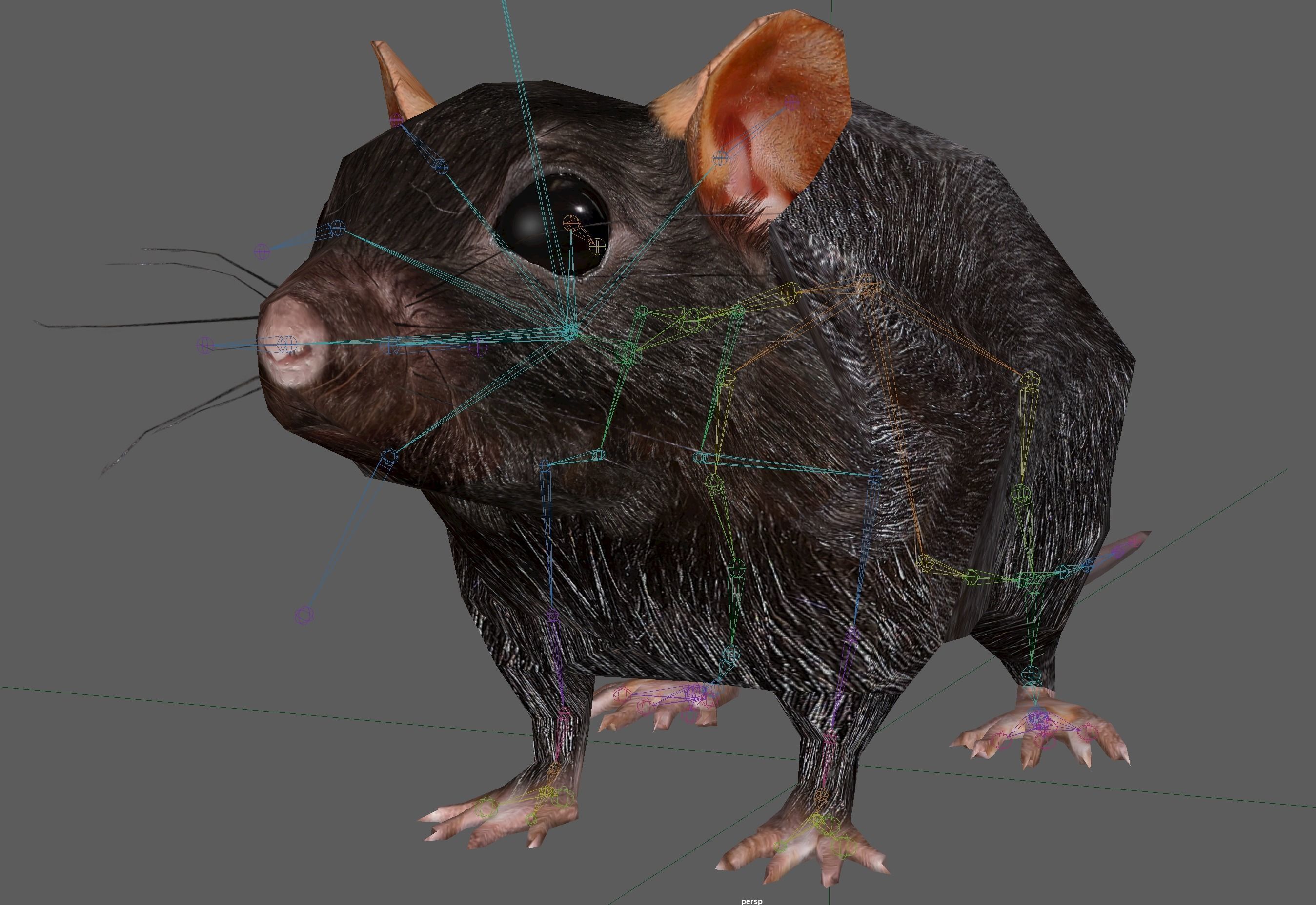 Rat Rig Low-poly 3D model_19
