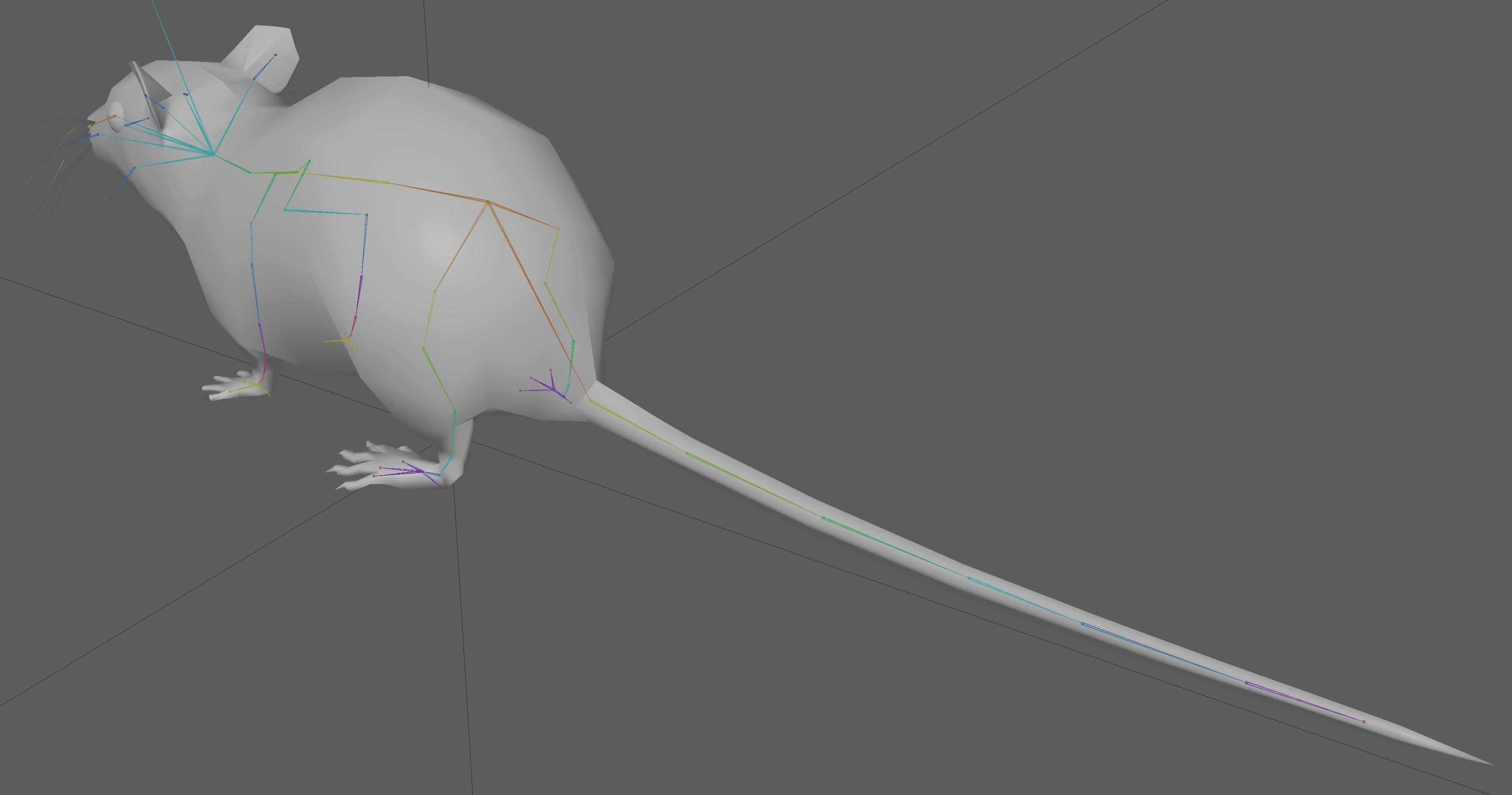 Rat Rig Low-poly 3D model_14