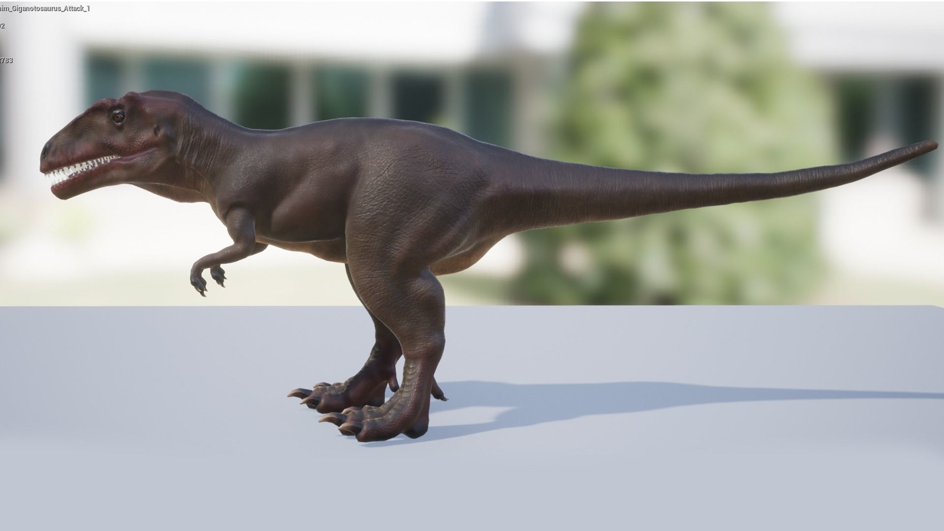 Giganotosaurus  Low-poly 3D model_9