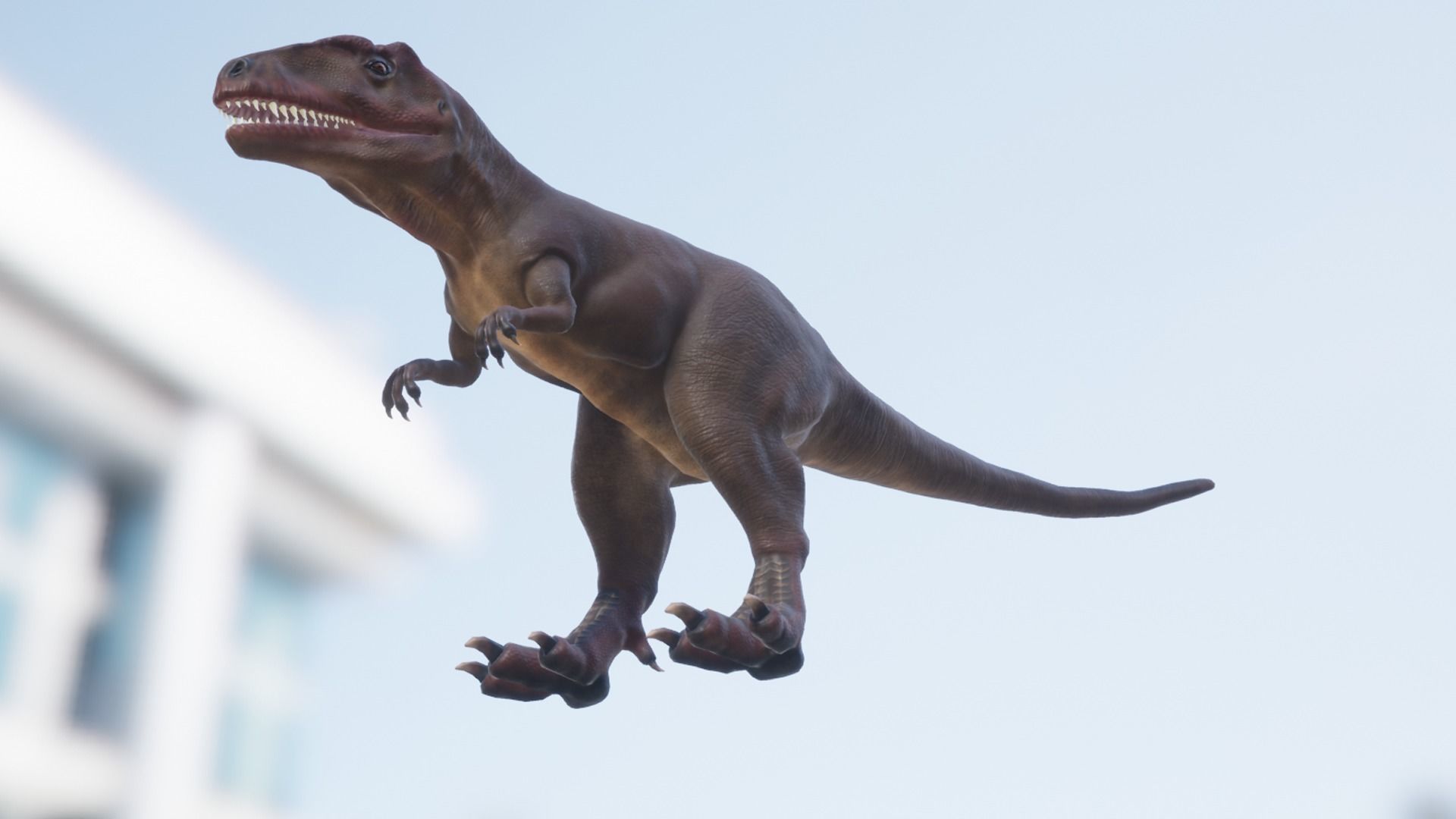 Giganotosaurus  Low-poly 3D model_14