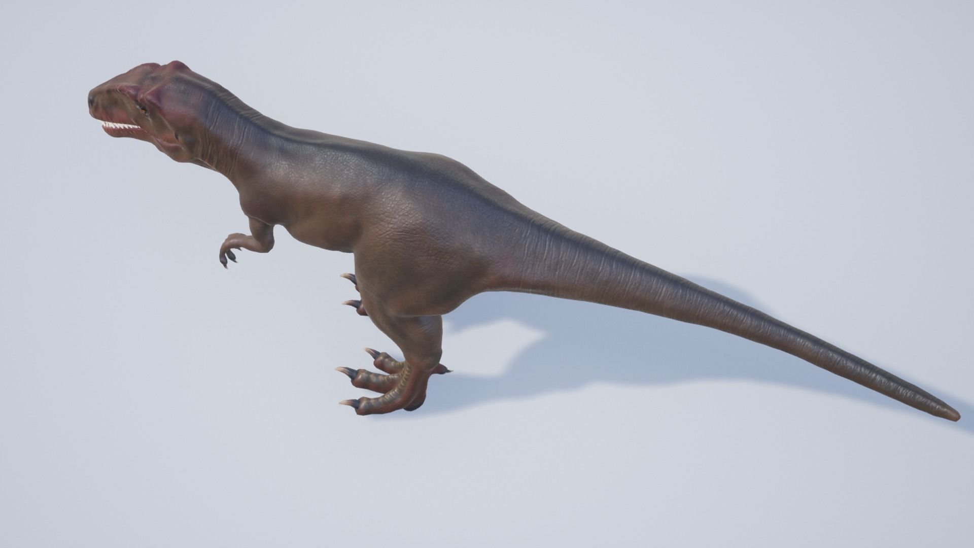 Giganotosaurus  Low-poly 3D model_13