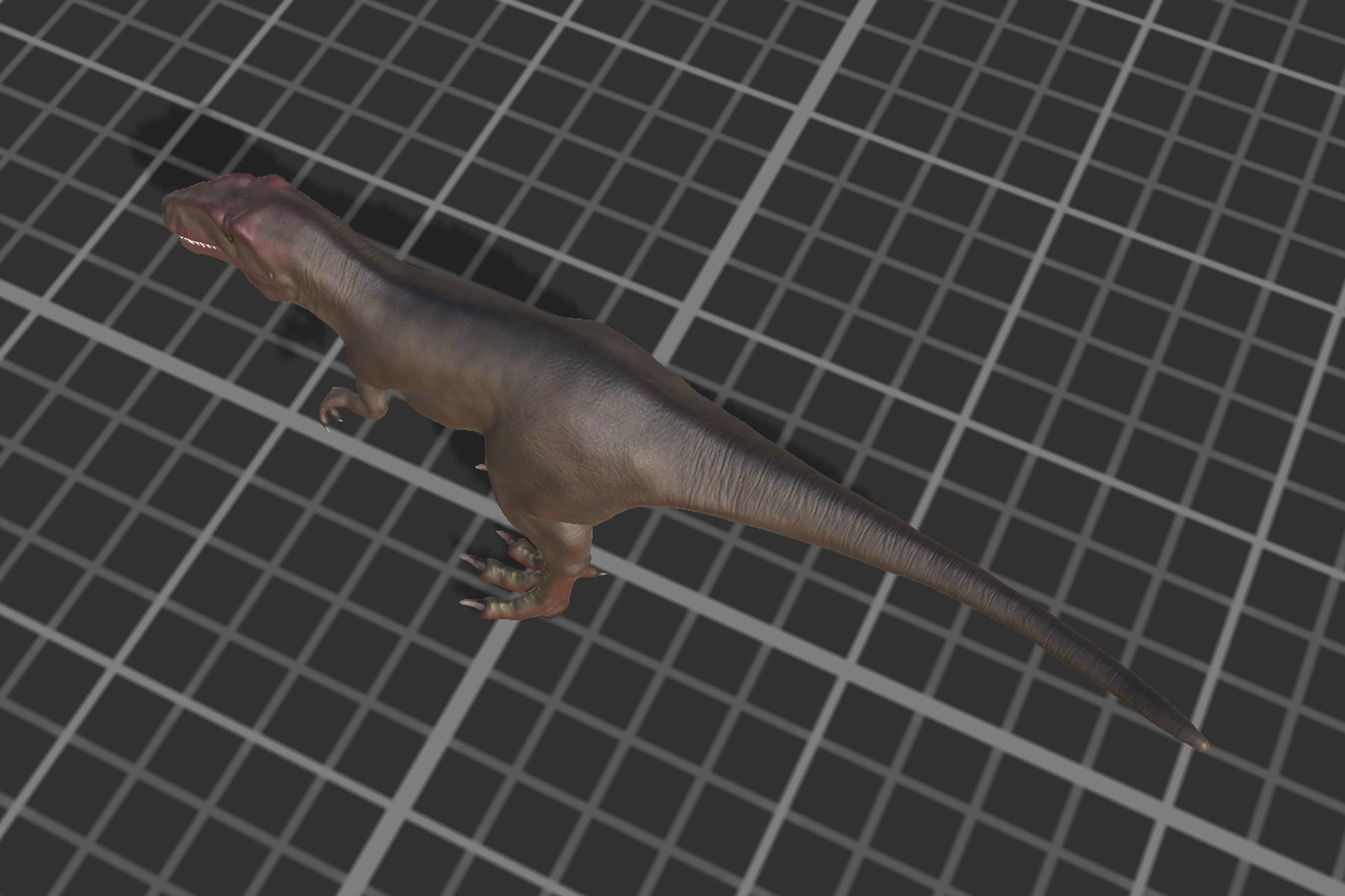 Giganotosaurus  Low-poly 3D model_4