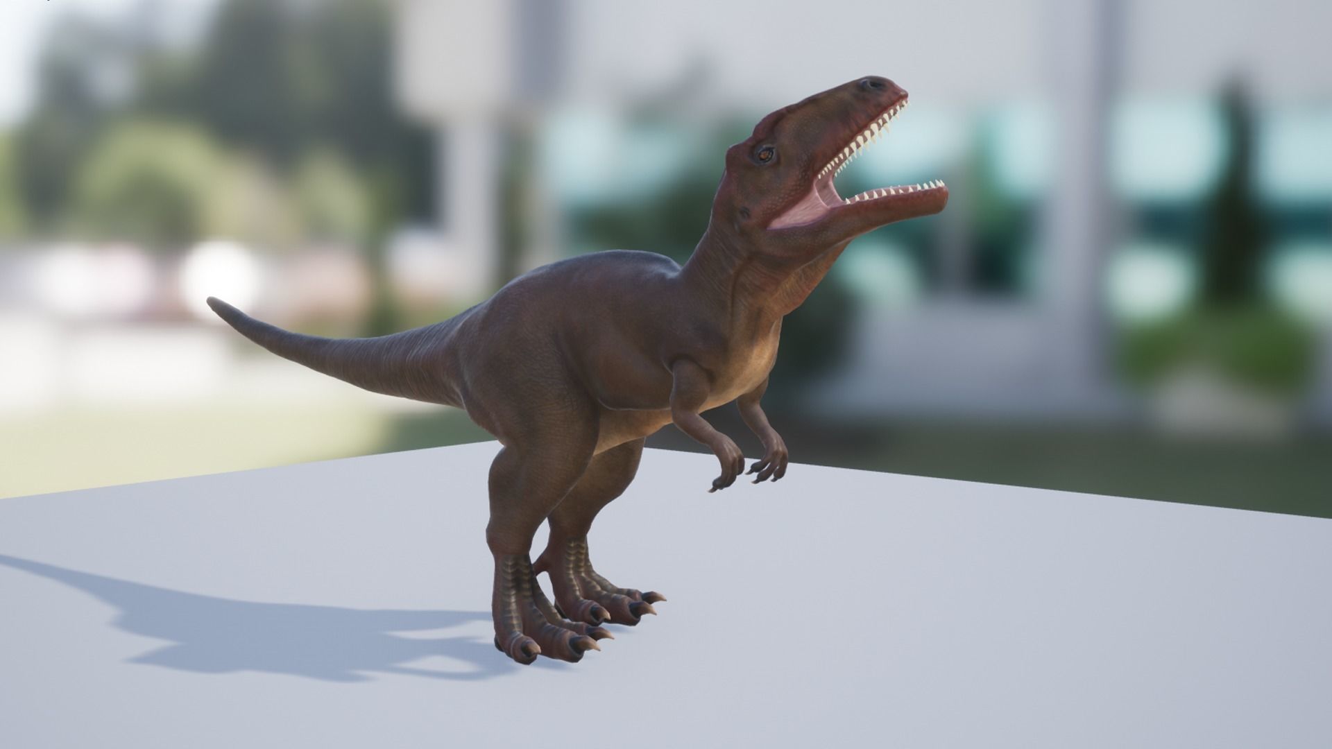 Giganotosaurus  Low-poly 3D model_16