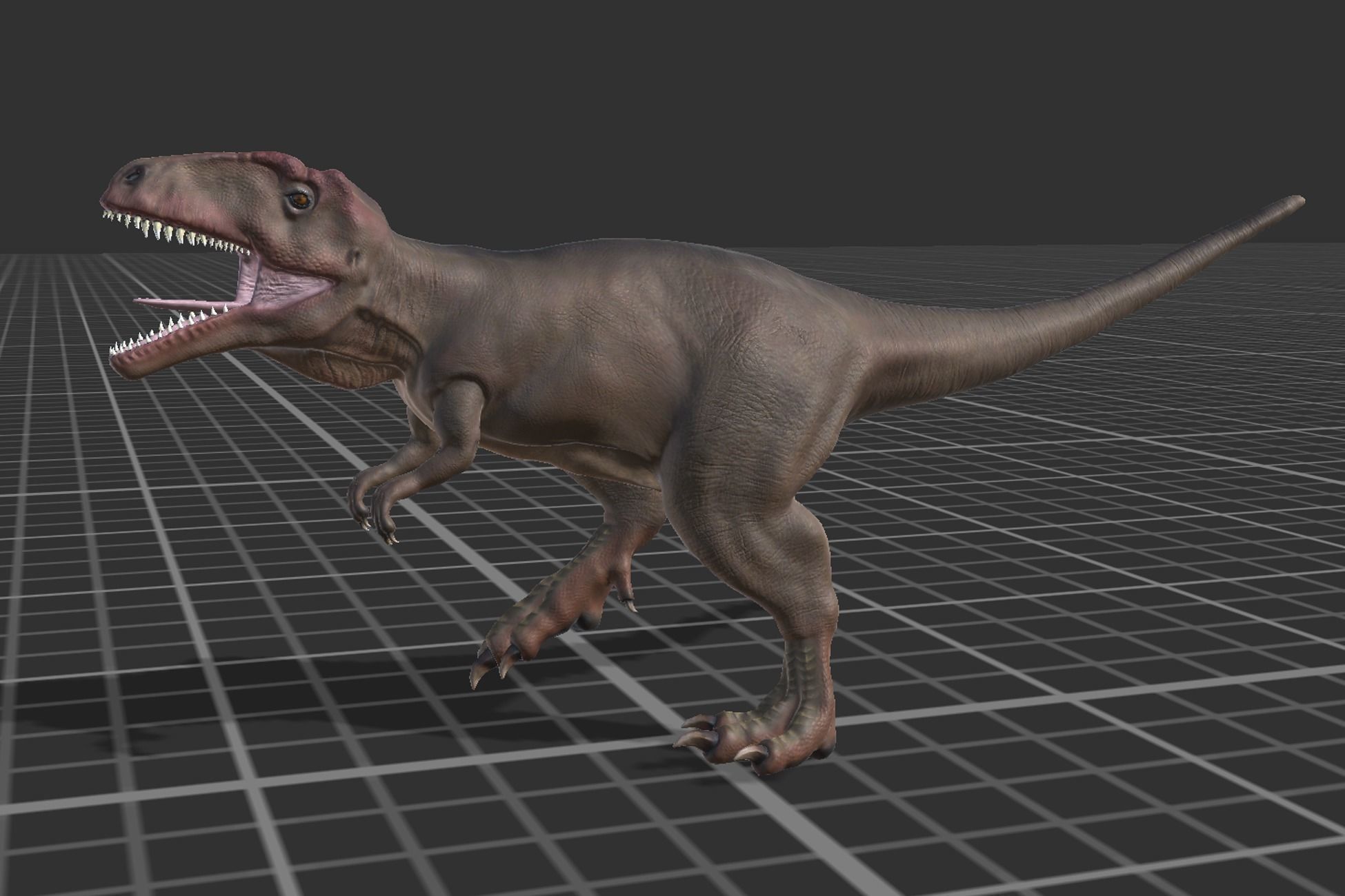 Giganotosaurus  Low-poly 3D model_6