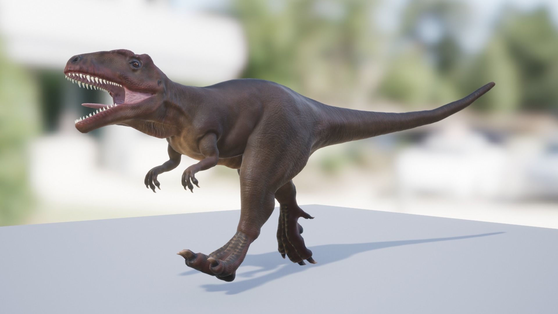 Giganotosaurus  Low-poly 3D model_15