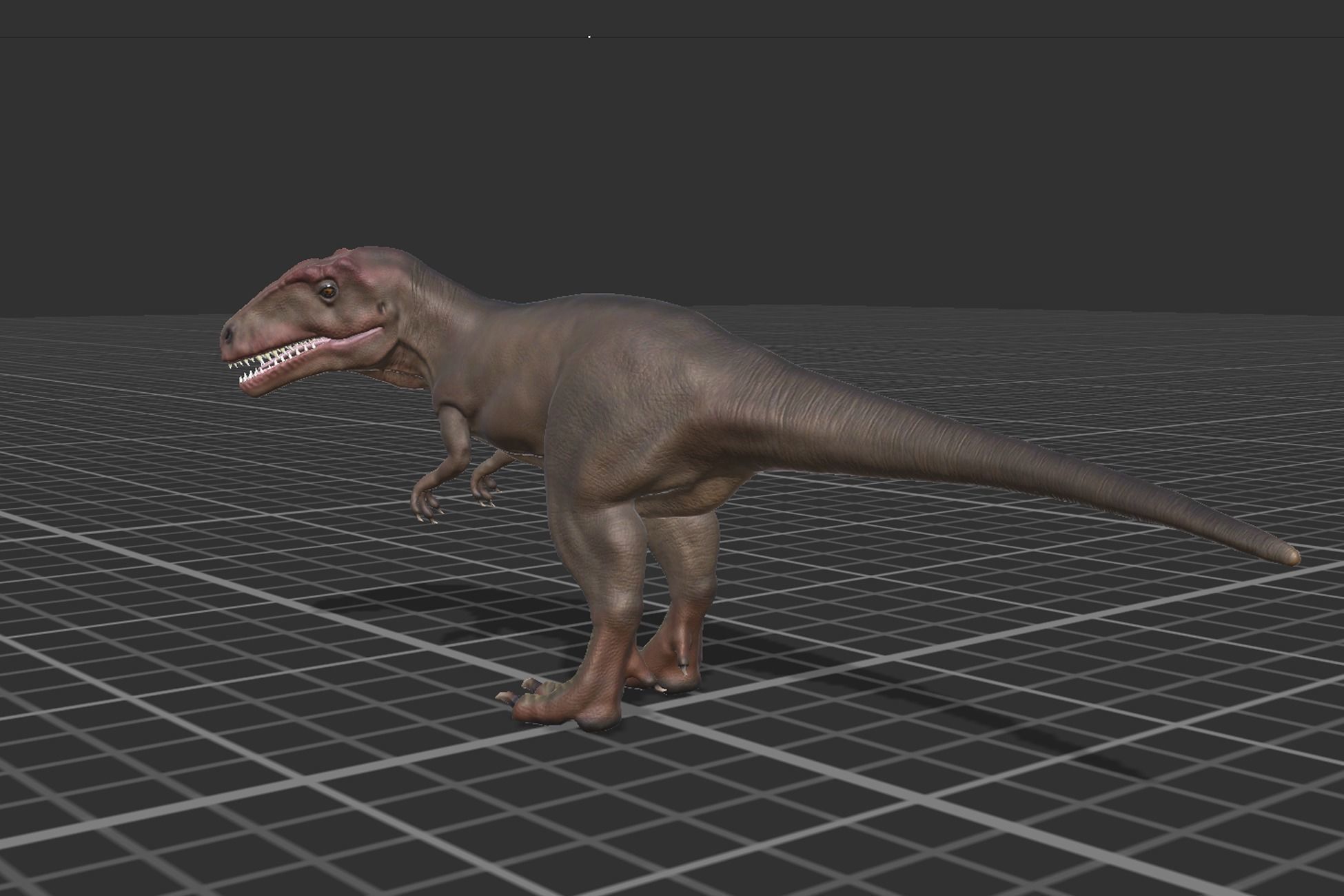 Giganotosaurus  Low-poly 3D model_7