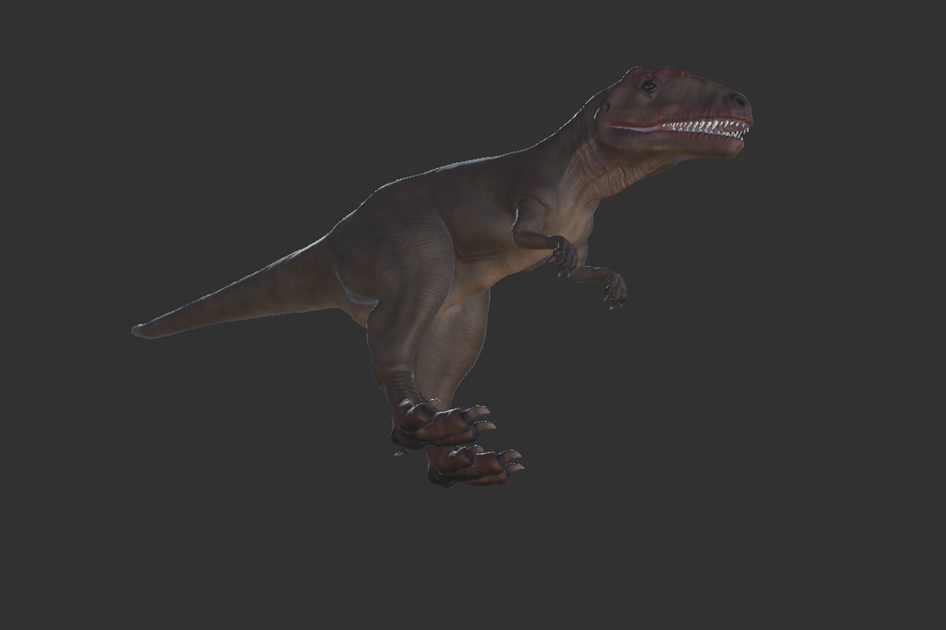 Giganotosaurus  Low-poly 3D model_5