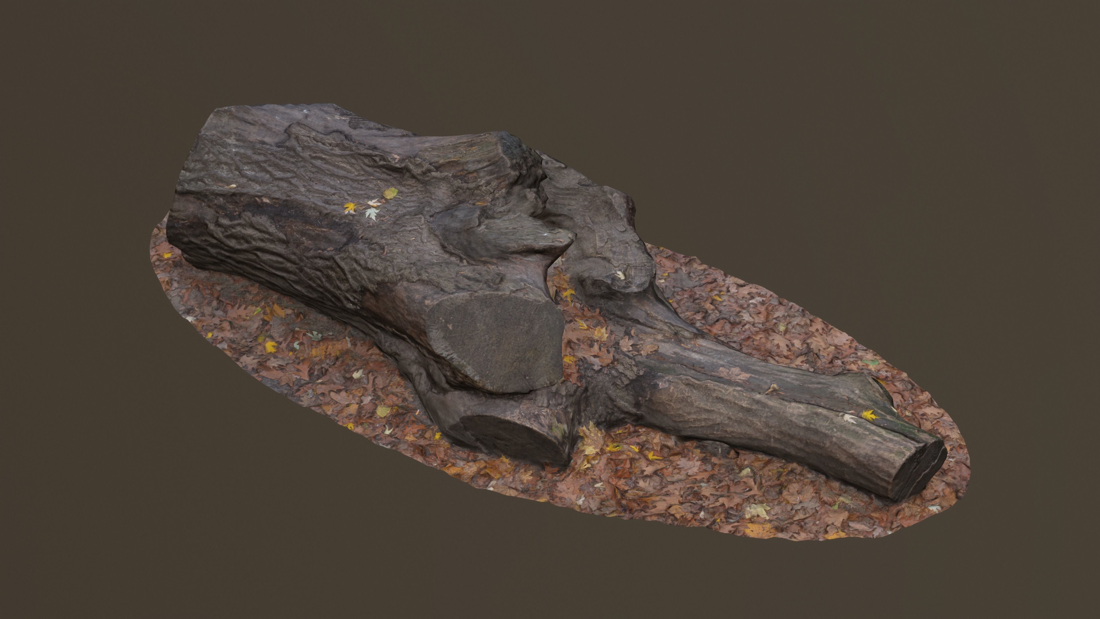 City Park Log Low-poly 3D model_12