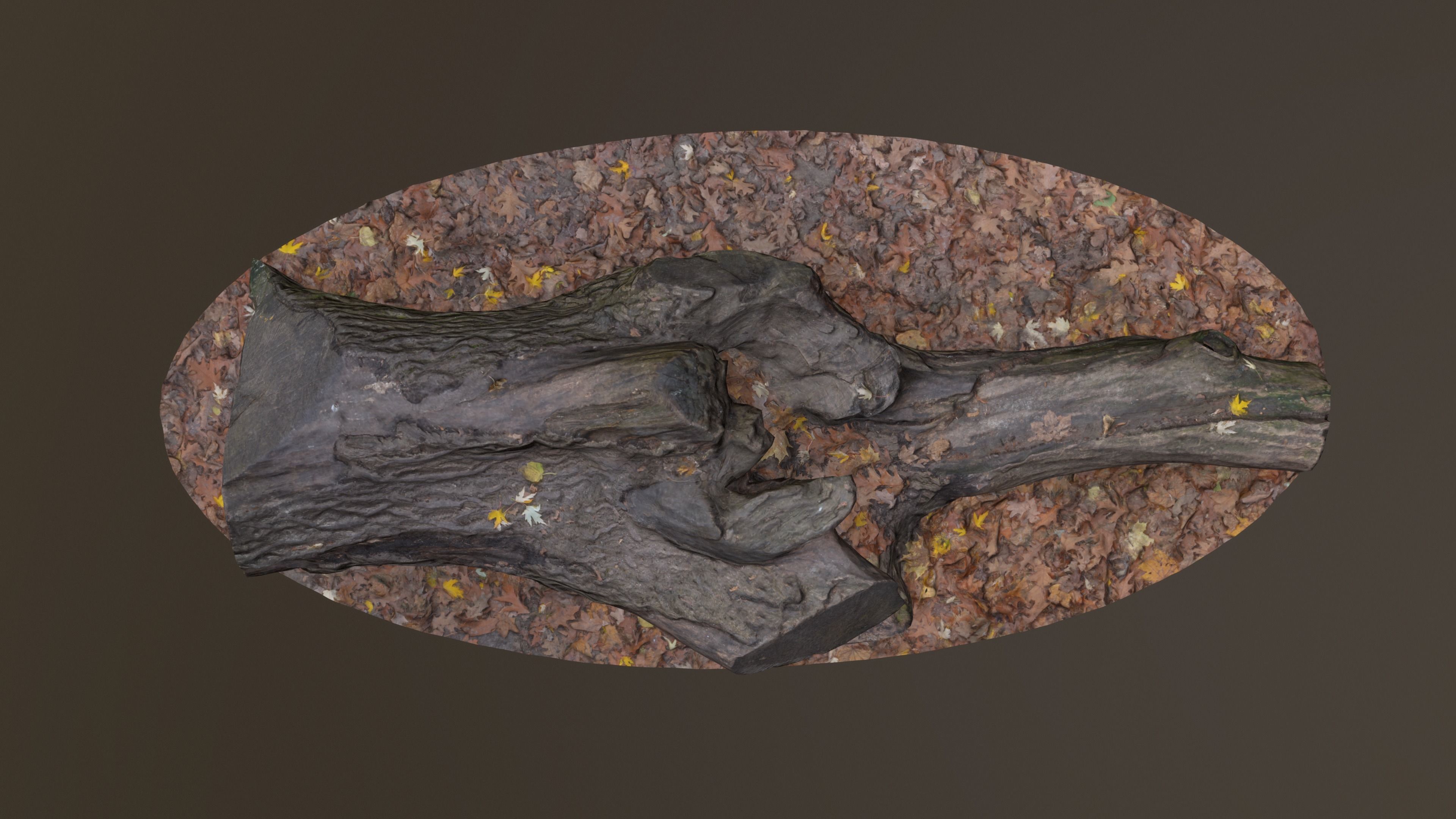 City Park Log Low-poly 3D model_4