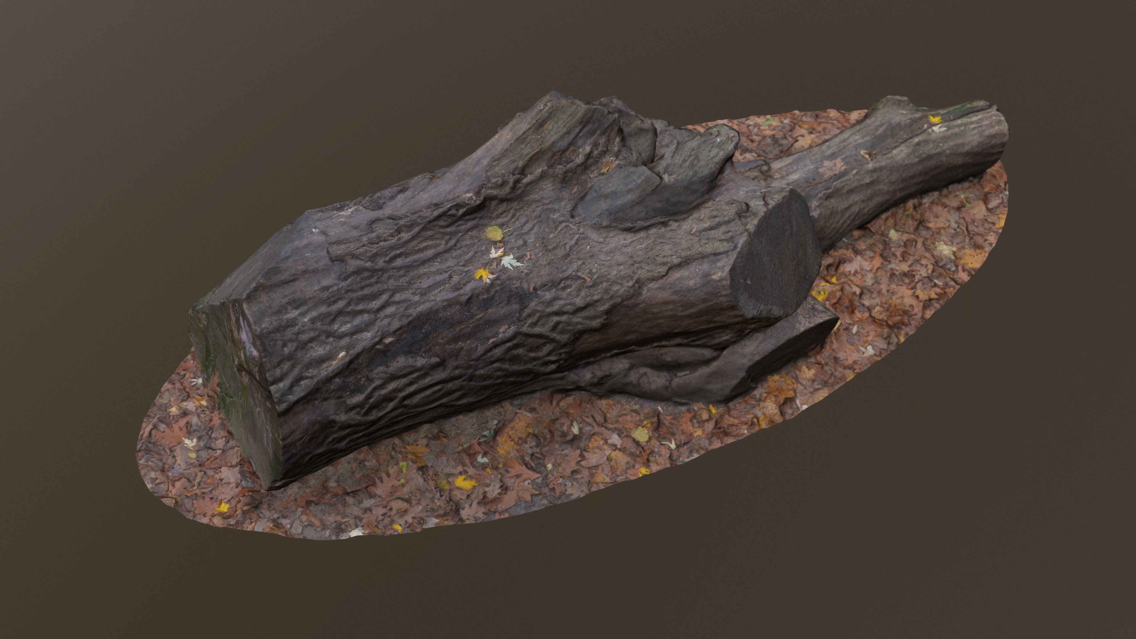 City Park Log Low-poly 3D model_2