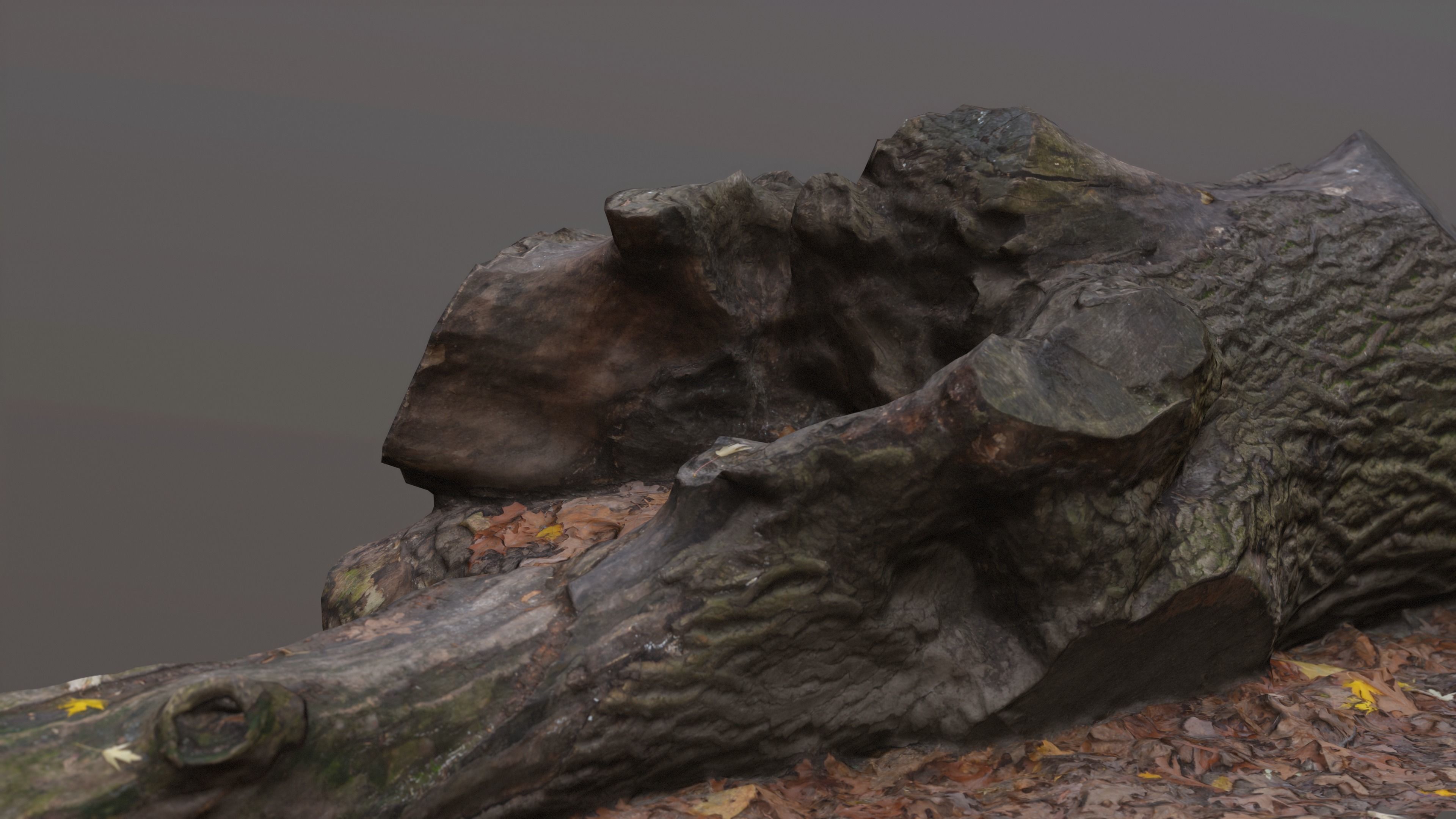 City Park Log Low-poly 3D model_10