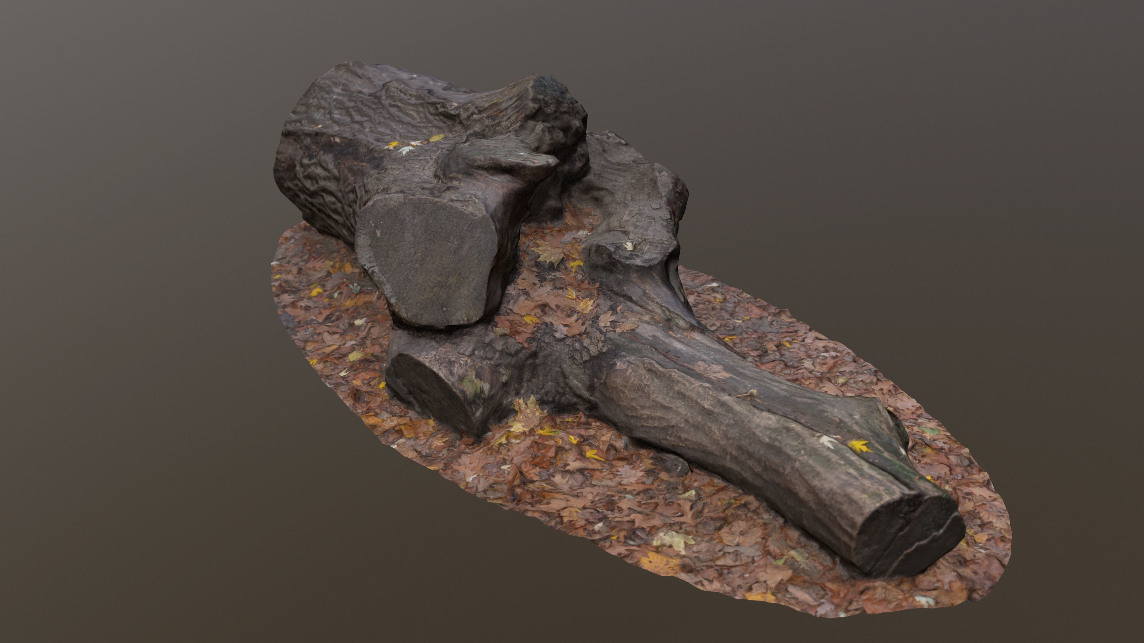 City Park Log Low-poly 3D model_5