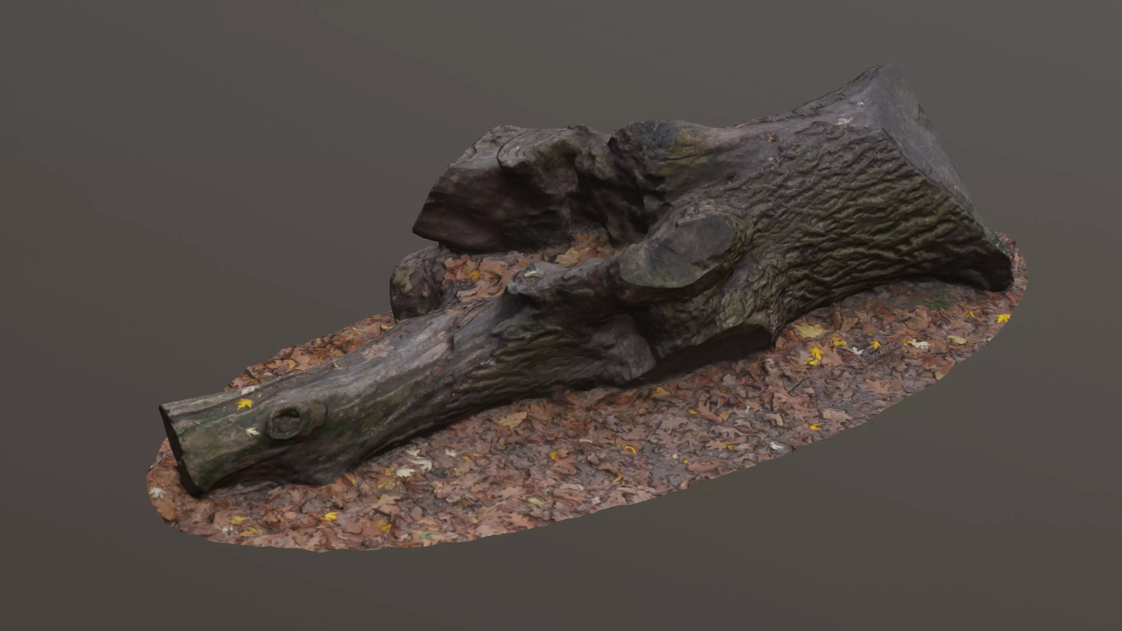 City Park Log Low-poly 3D model_0