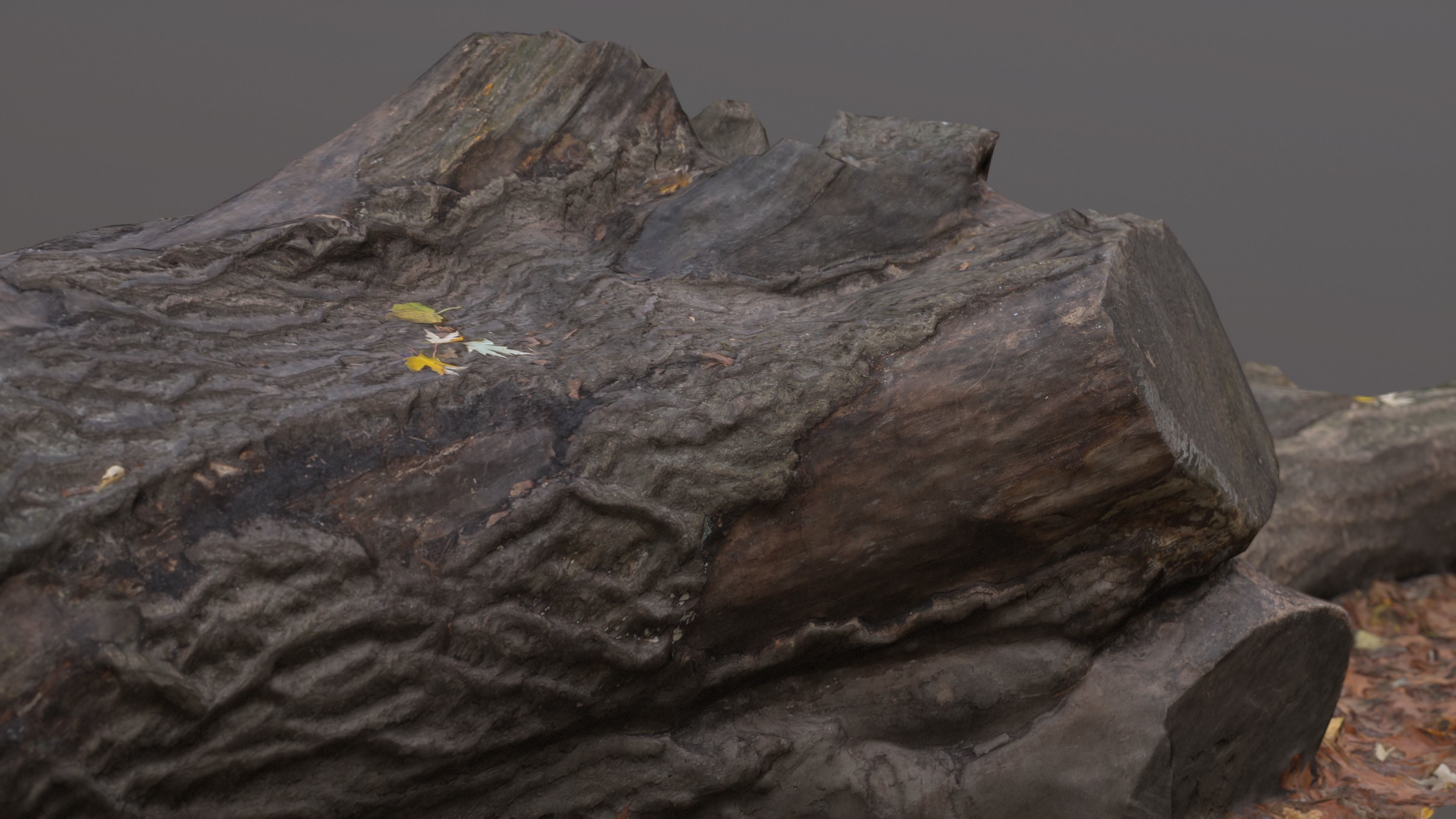 City Park Log Low-poly 3D model_13