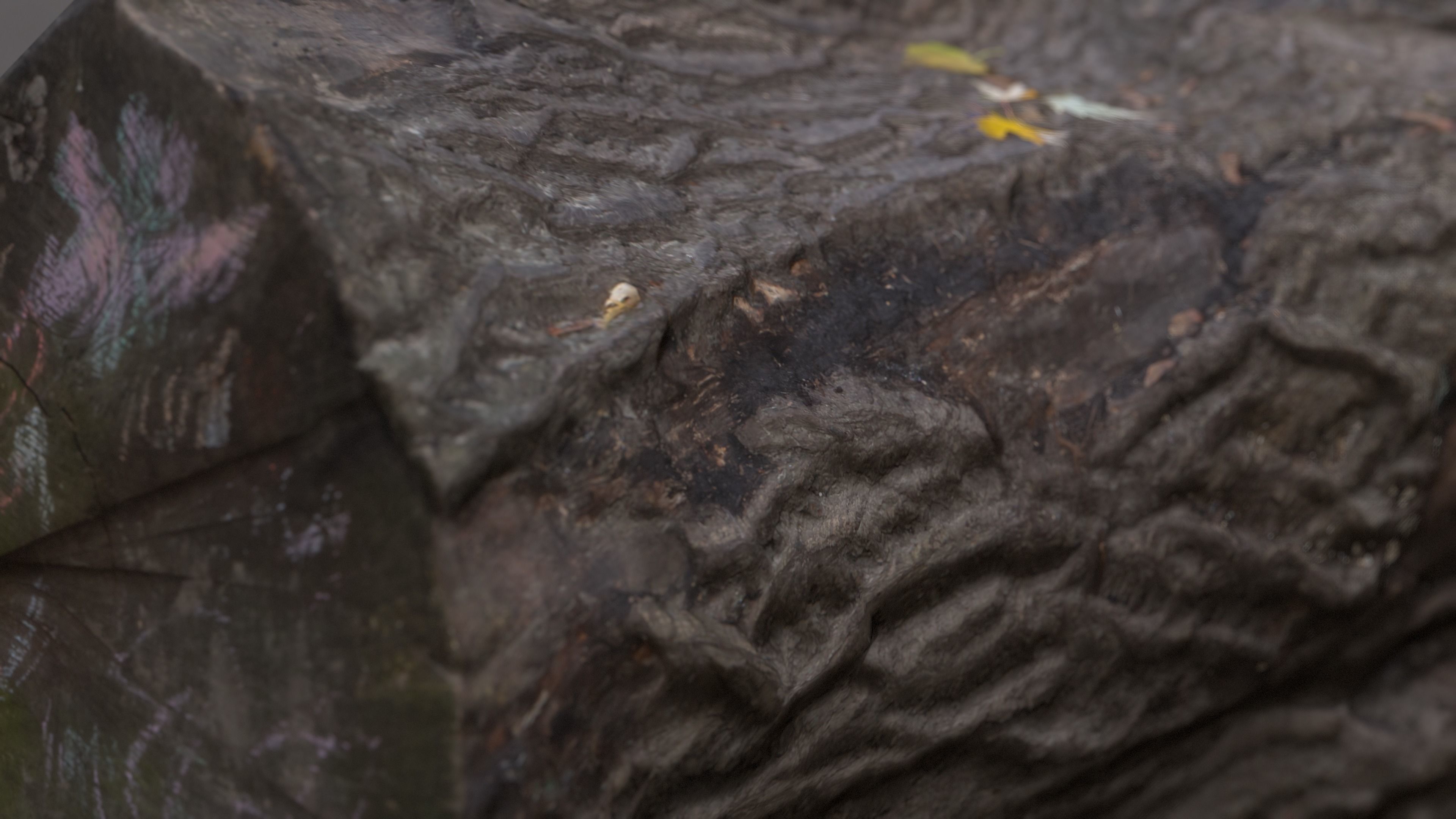 City Park Log Low-poly 3D model_3