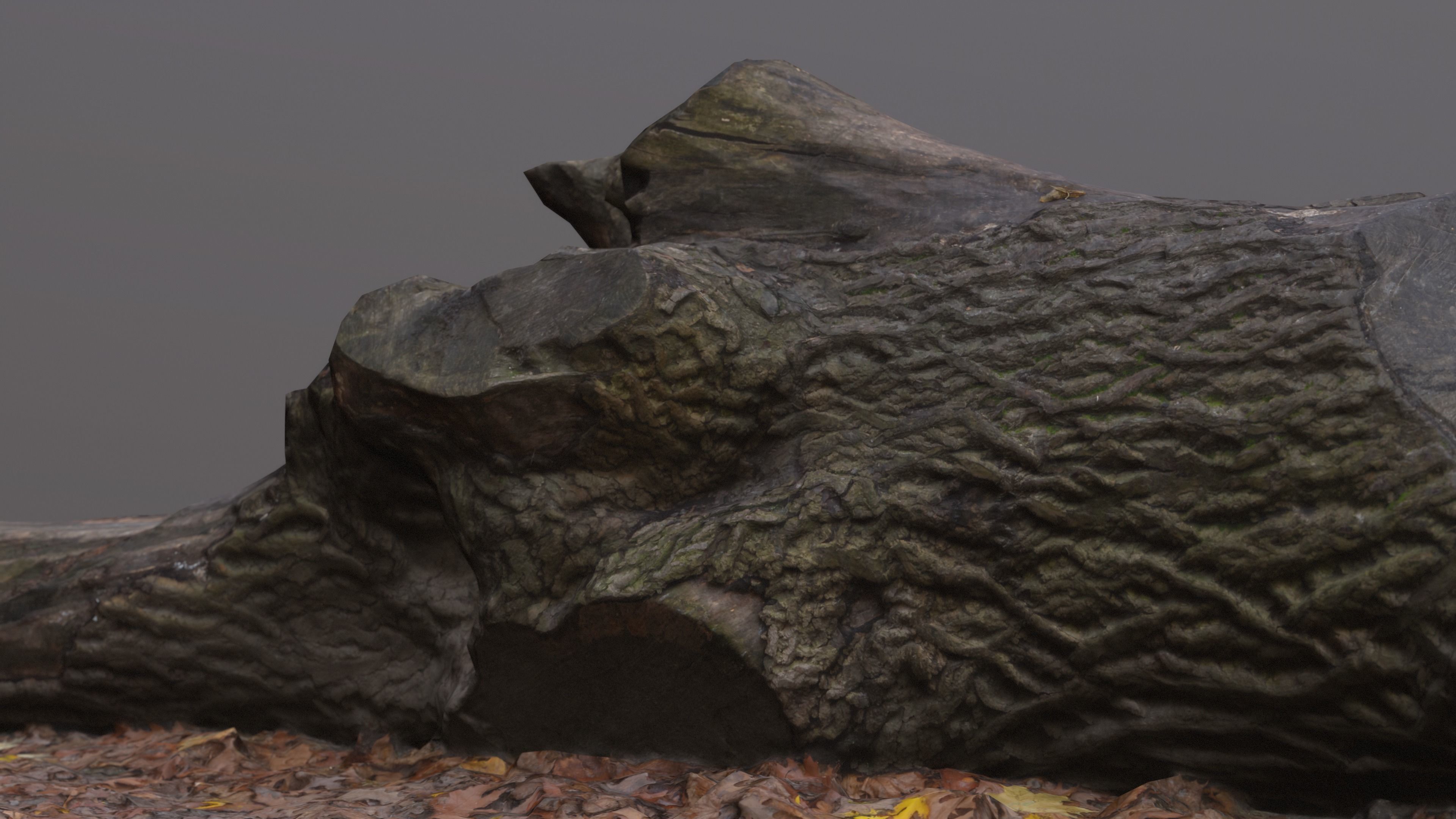 City Park Log Low-poly 3D model_11