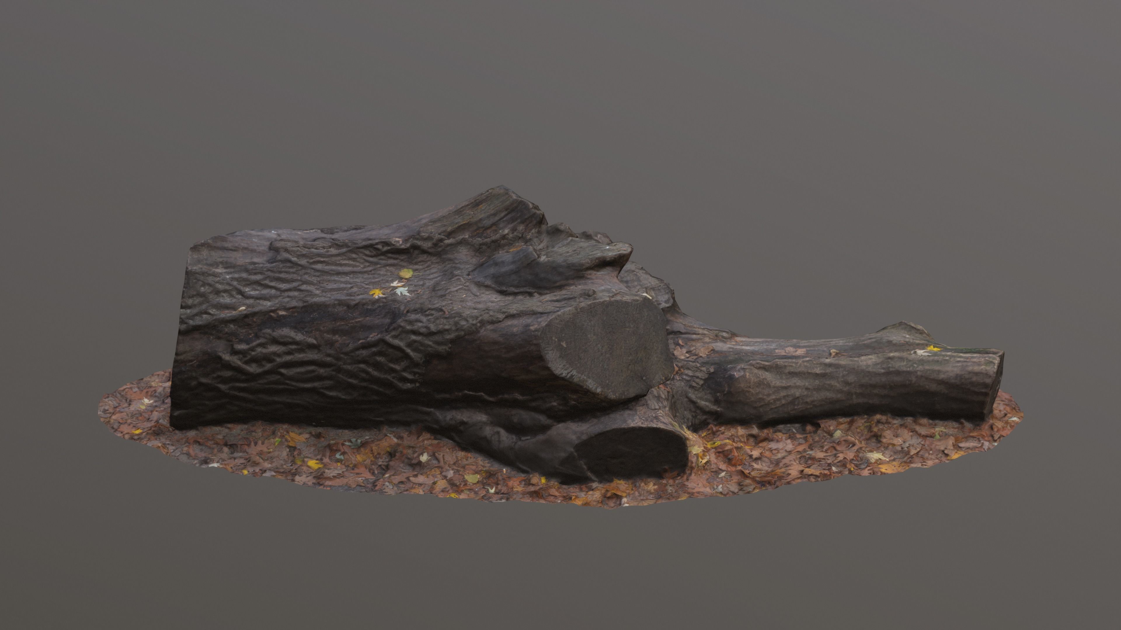 City Park Log Low-poly 3D model_9