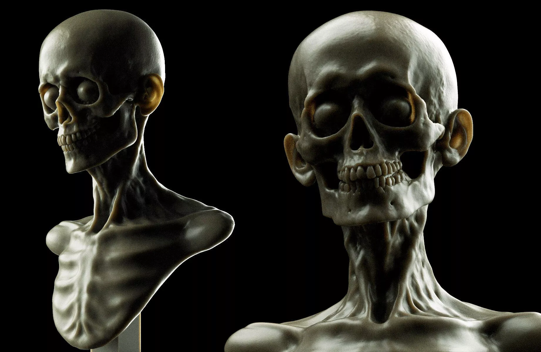 Skull 3D print model
