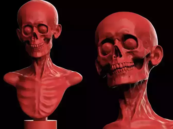 Skull Head 3D print model