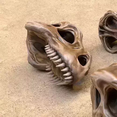 Fossil Bones and Skulls - Collection