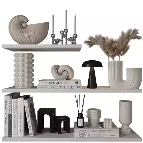 Decorative shelves with vases and books 3D model