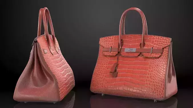 Hermes Birkin Bag Alligator