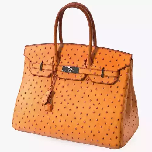 Hermes Birkin Bag Ostrich