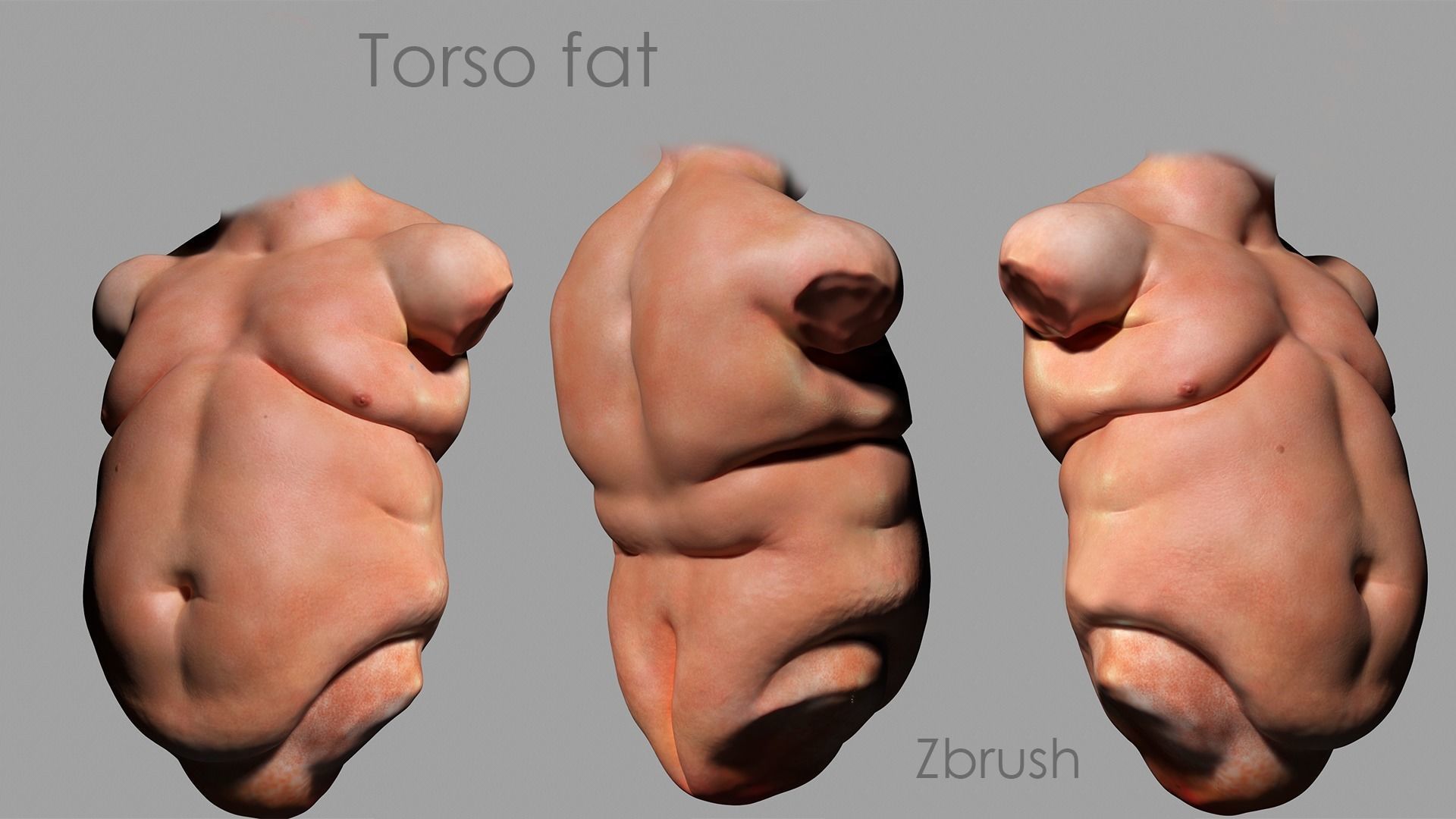 Tors Fat 3D model_1