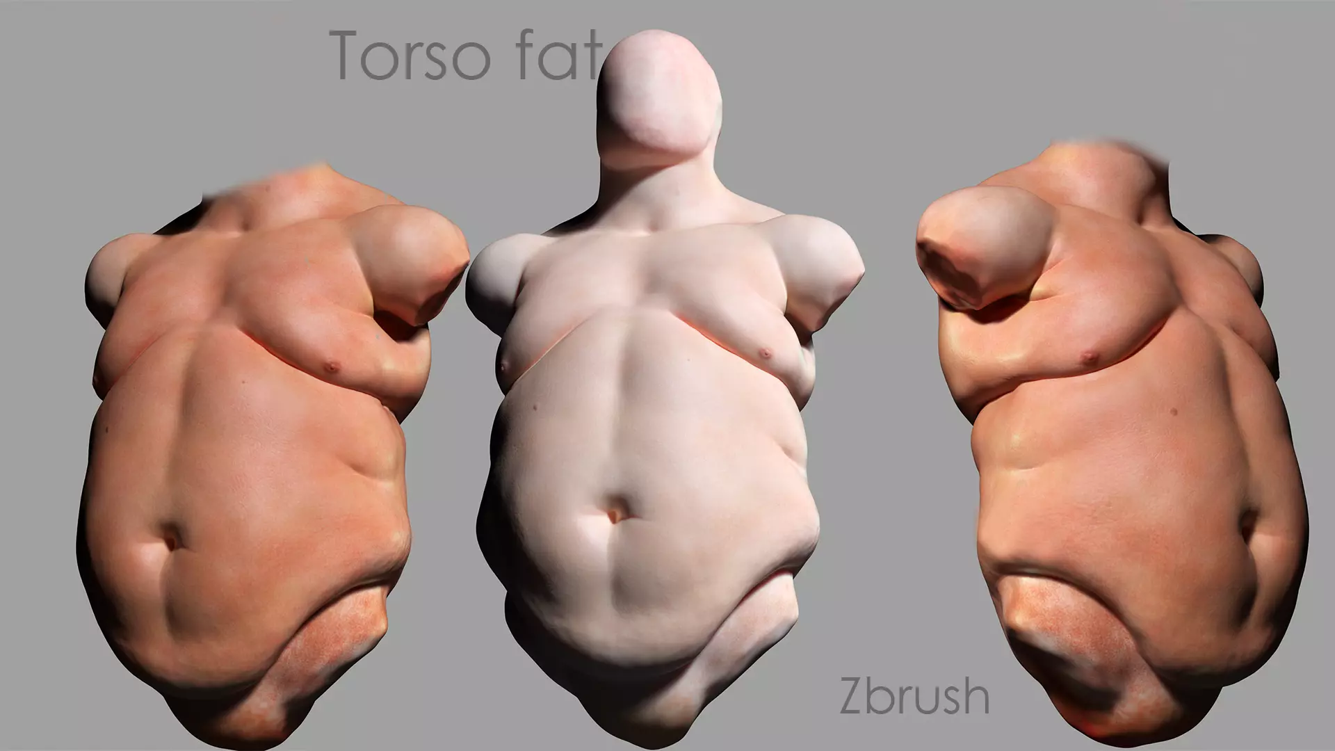 Tors Fat 3D model_0