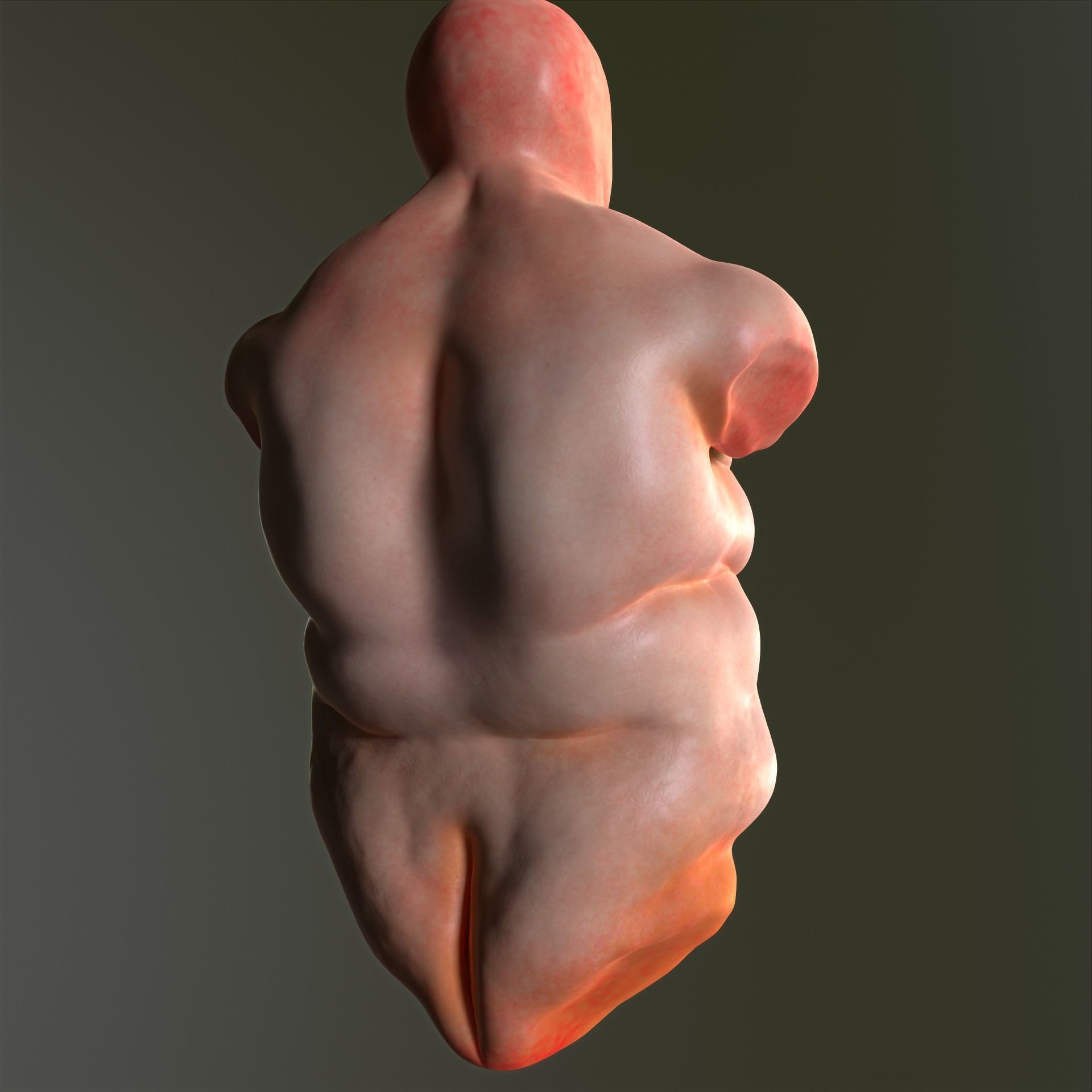 Tors Fat 3D model_3