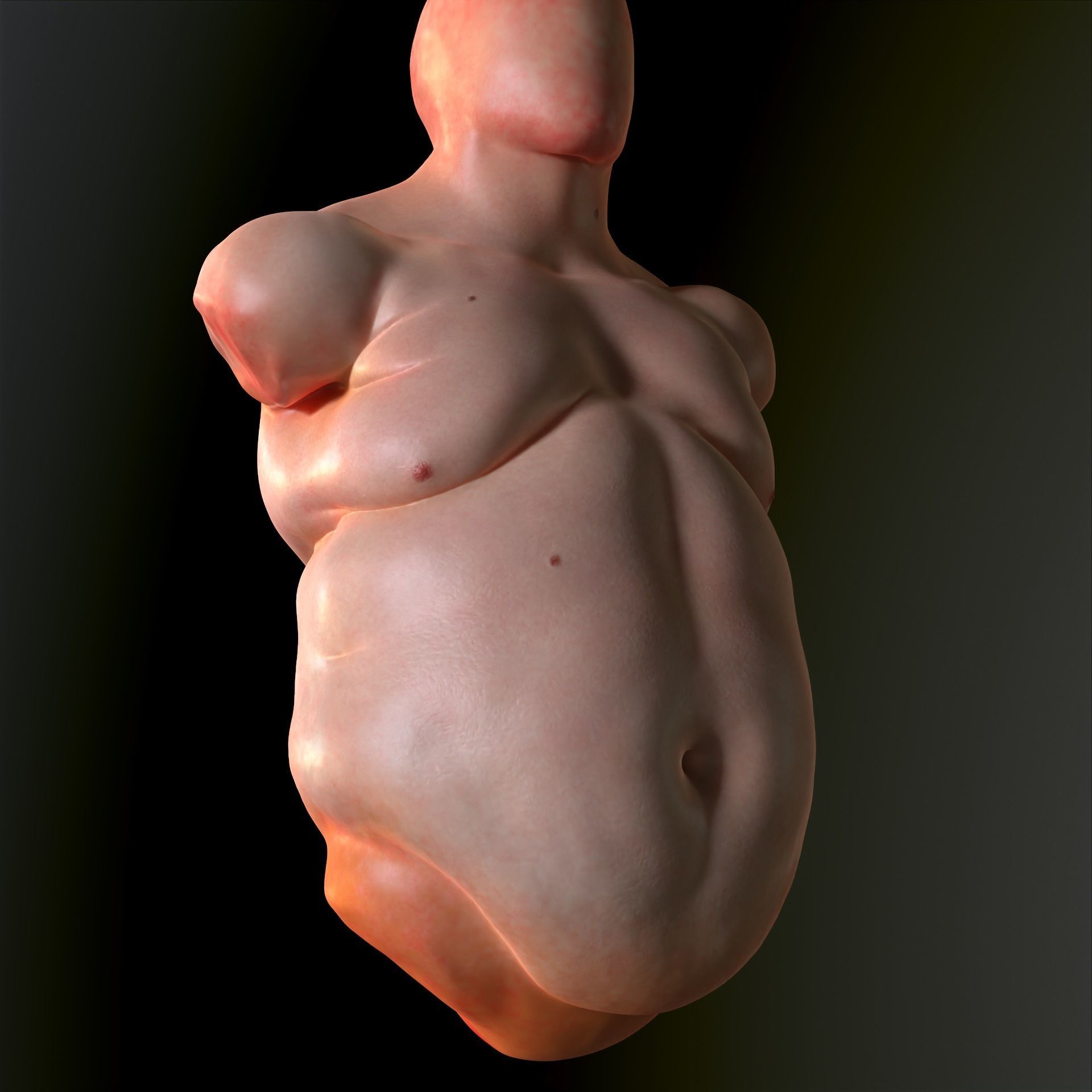 Tors Fat 3D model_2
