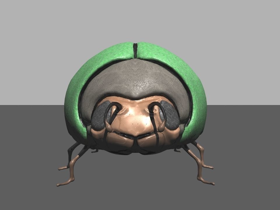 Beetle1 beetle Free 3D model_3